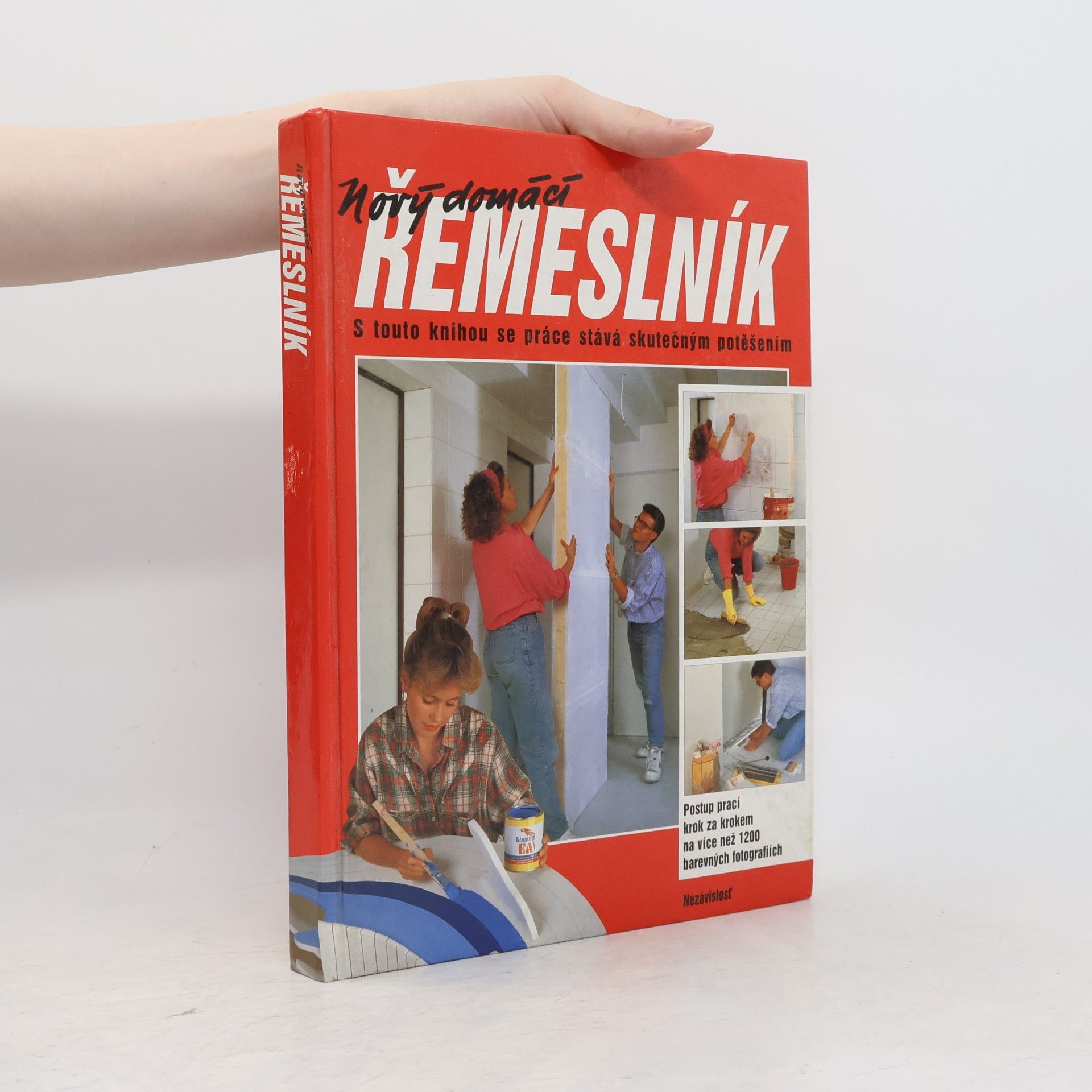 Dieter Rex Nový domácí řemeslník
