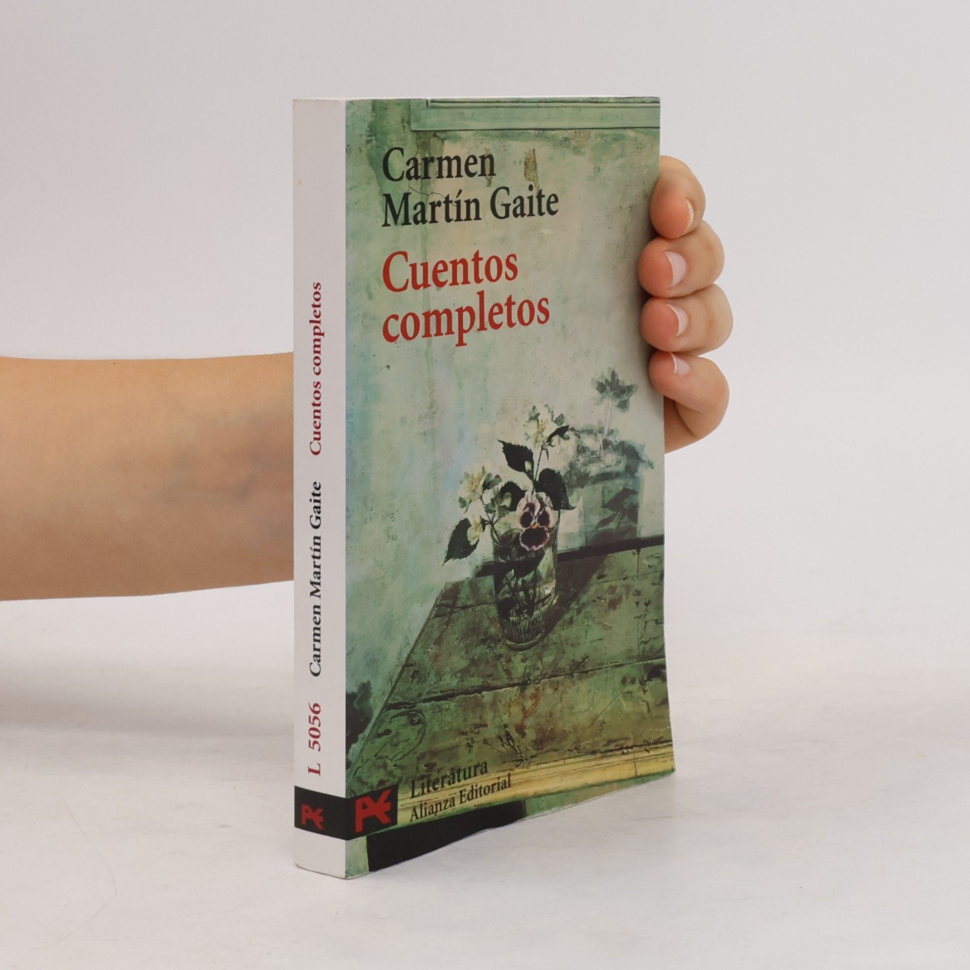 Carmen Martín Gaite Literatura: Cuentos completos