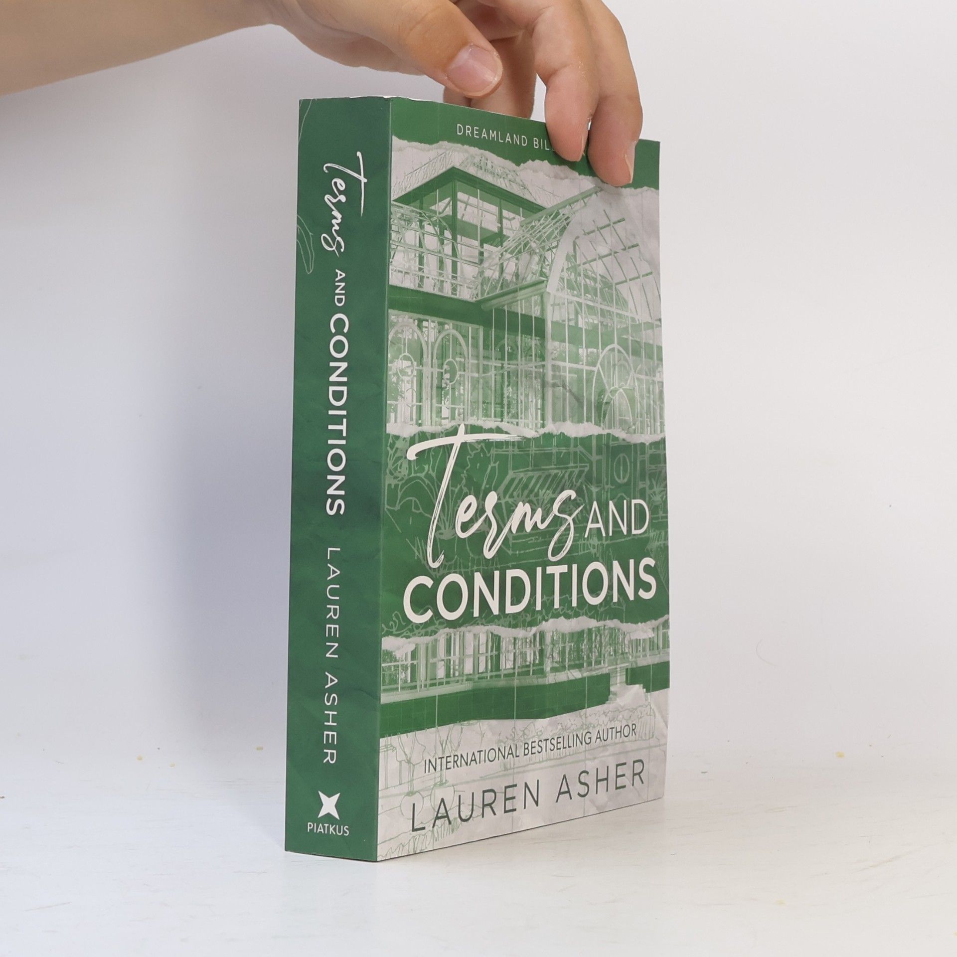 Lauren Asher Dreamland billionaires. Terms and conditions