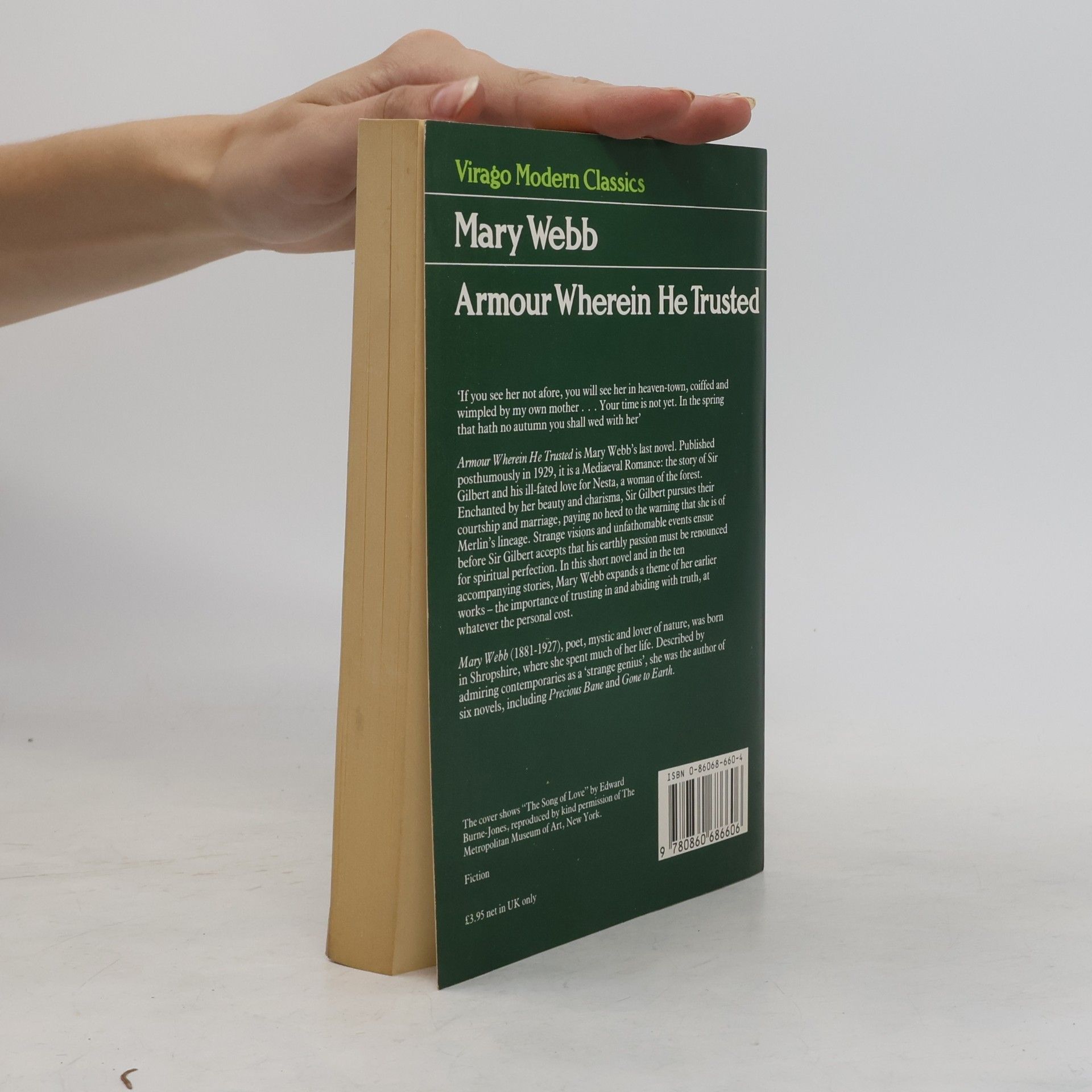 Mary Gladys Meredith Webb Virago Modern Classics: Armour Wherein He Trusted