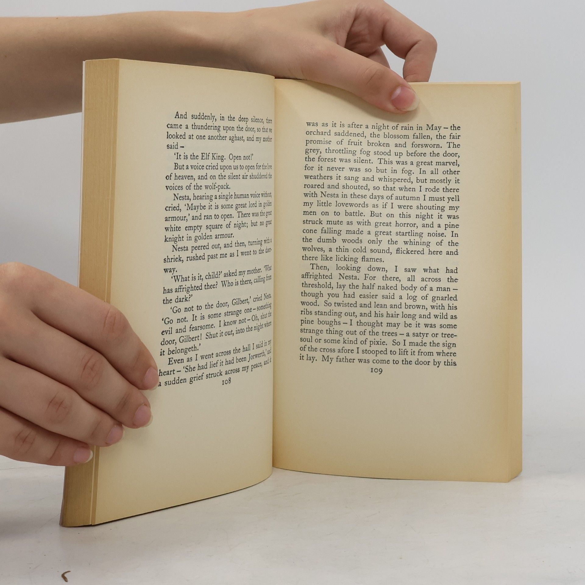 Mary Gladys Meredith Webb Virago Modern Classics: Armour Wherein He Trusted
