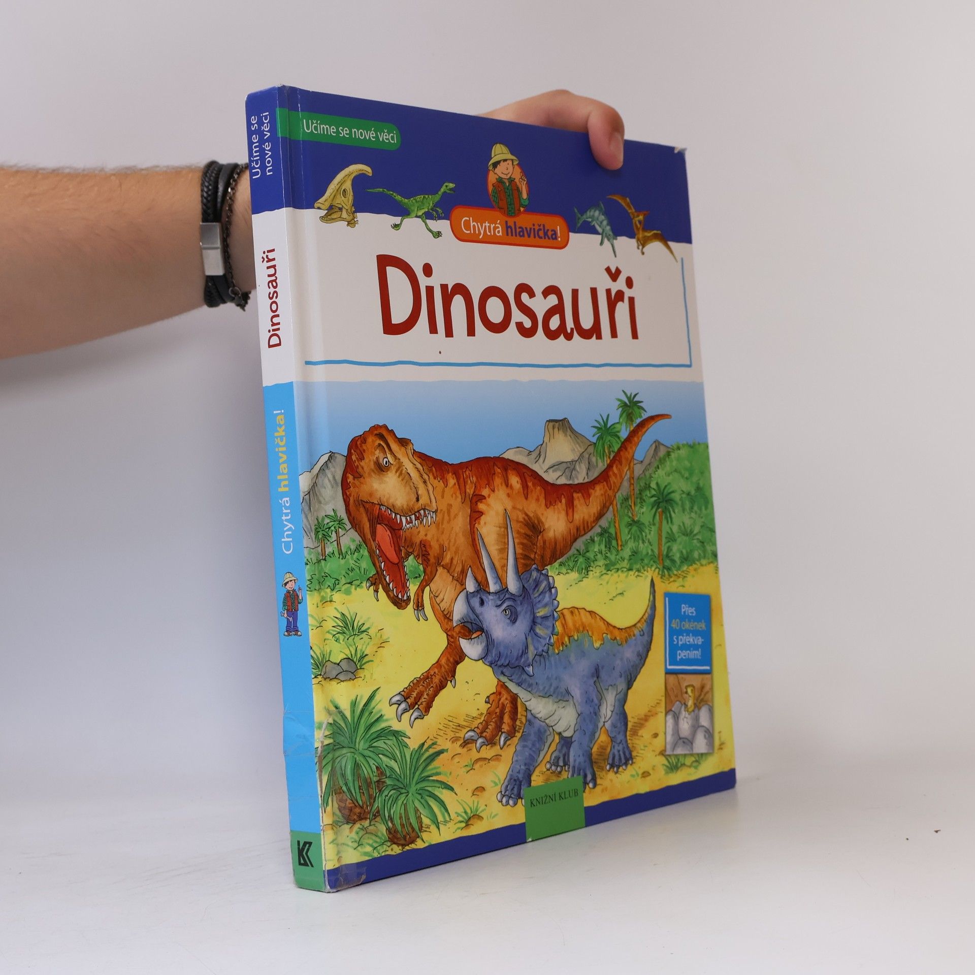 Heike Herrman Chytrá hlavička: Dinosauři (otevírací okénka)