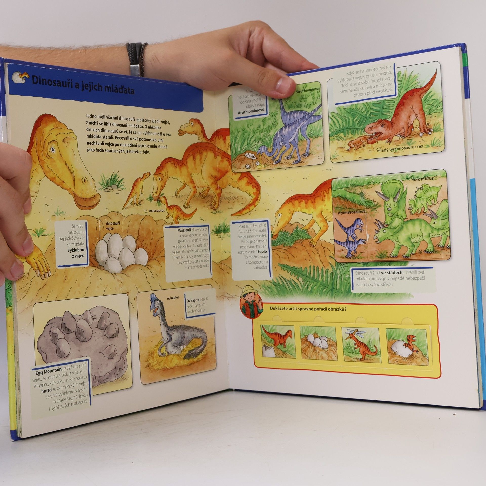 Lisa Maurer Chytrá hlavička: Dinosauři (otevírací okénka)