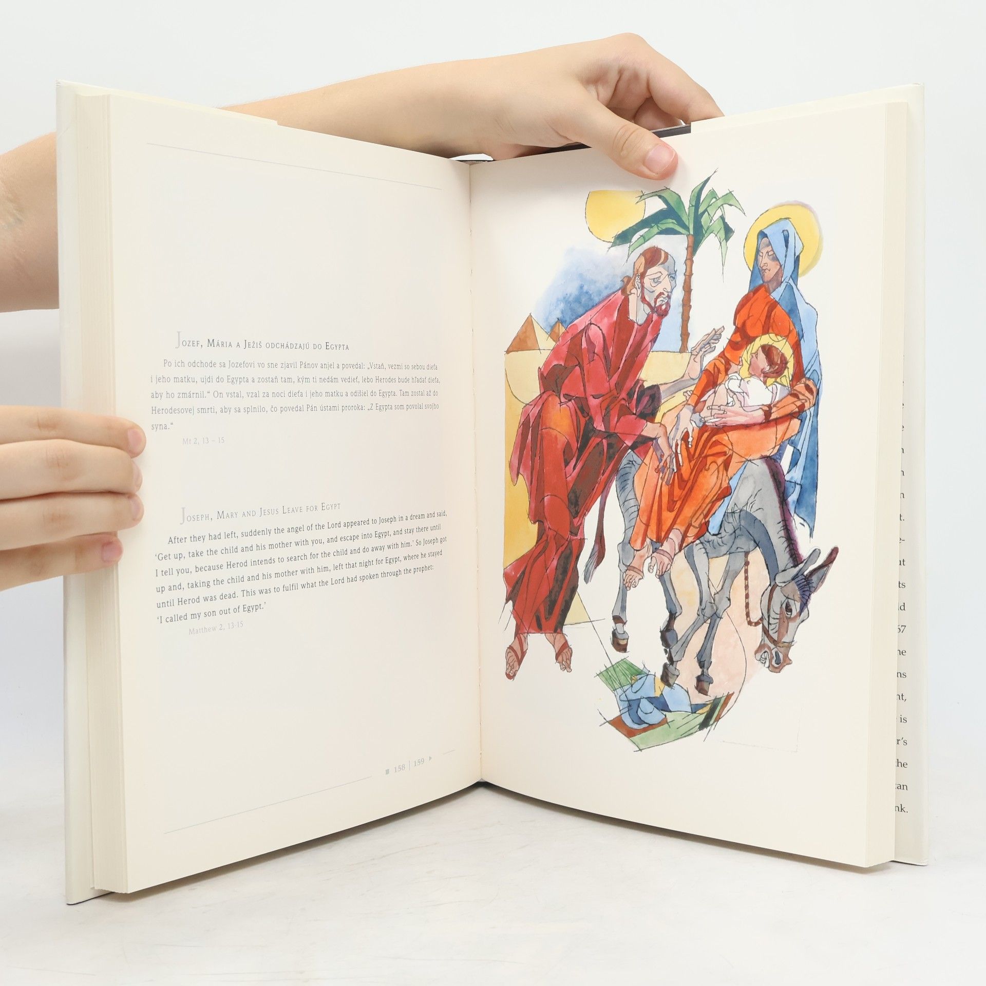 Autorenkollektiv Biblia v obrazoch Vincenta Hložníka