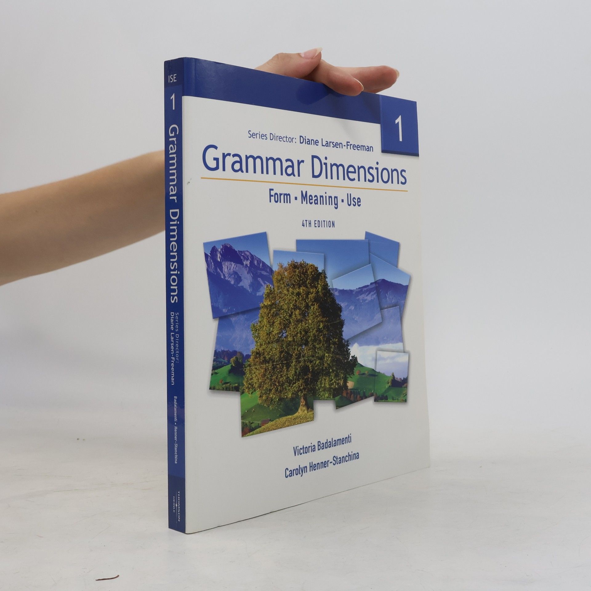 Carolyn Henner Stanchina Grammar Dimensions 1. Form, Meaning, Use