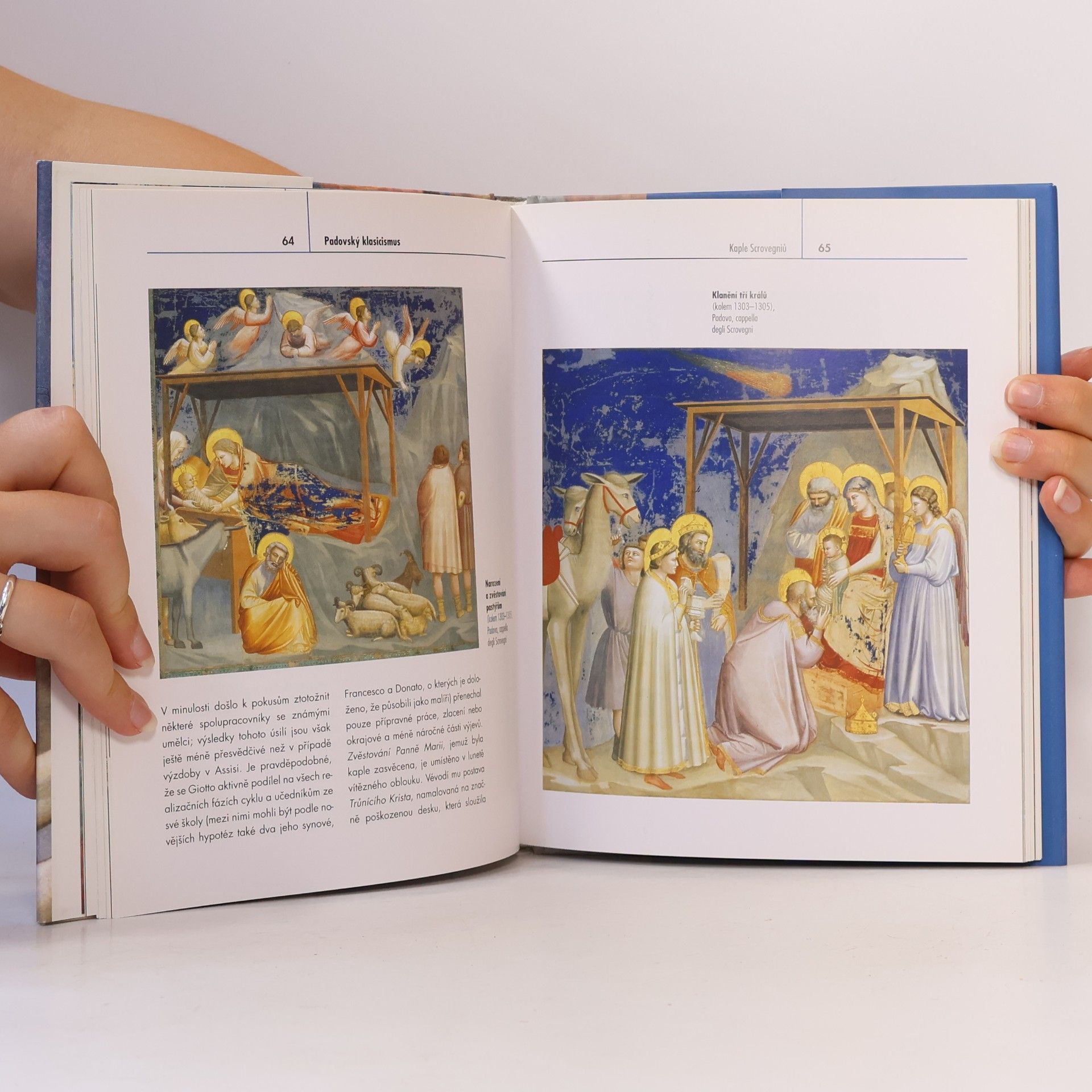 Angelo Tartuferi Giotto : život umělce