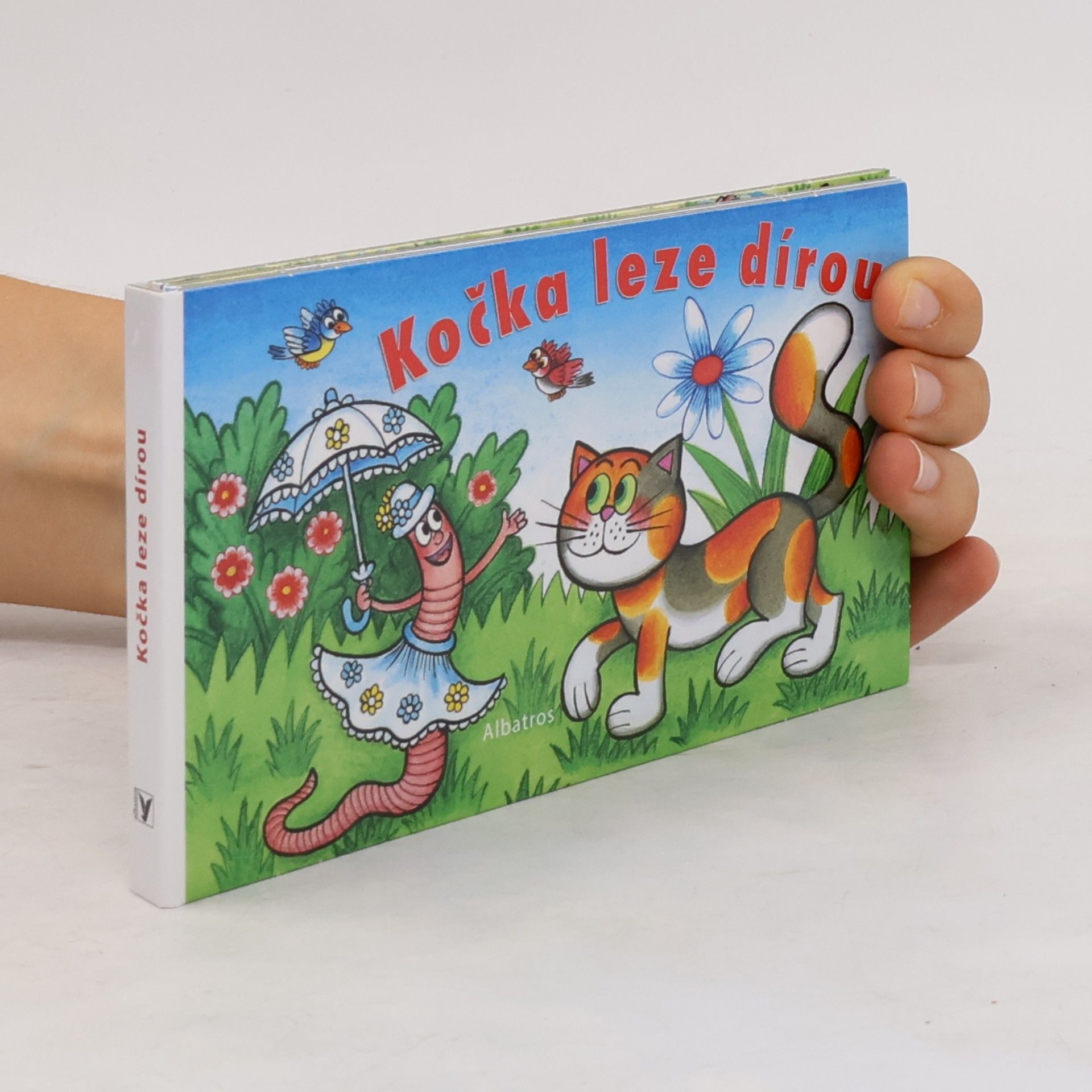 Kolektiv autorů Kočka leze dírou
