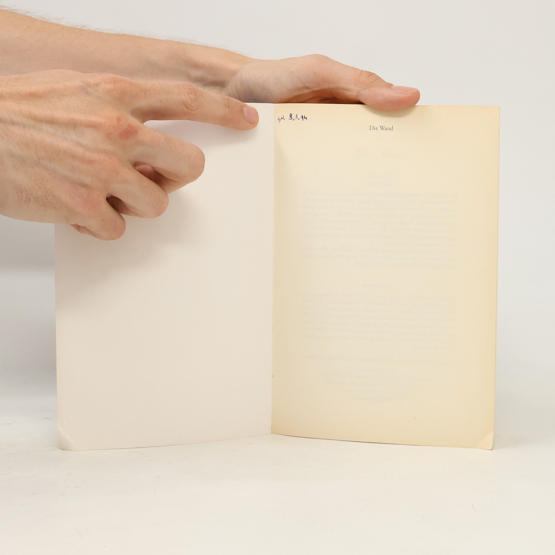 Marlen Haushofer Die Wand