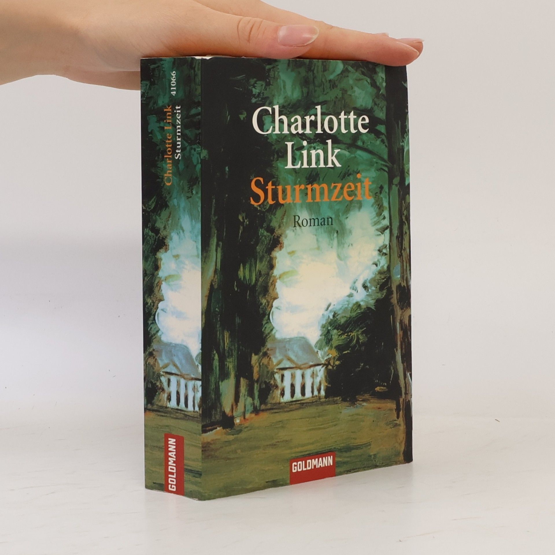 Charlotte Link Sturmzeit