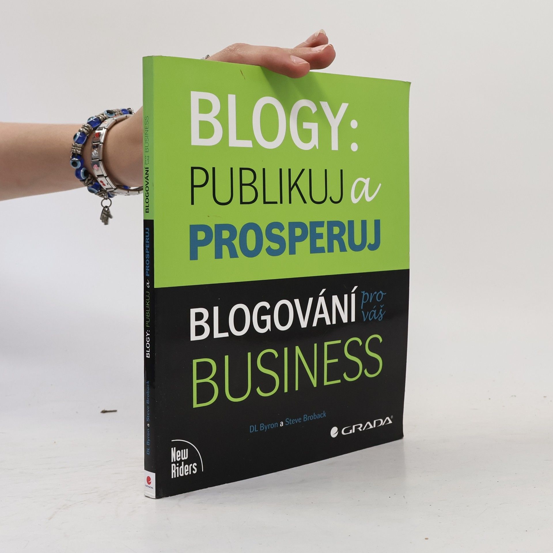 Steve Broback Blogy: publikuj a prosperuj: Blogování pro váš business