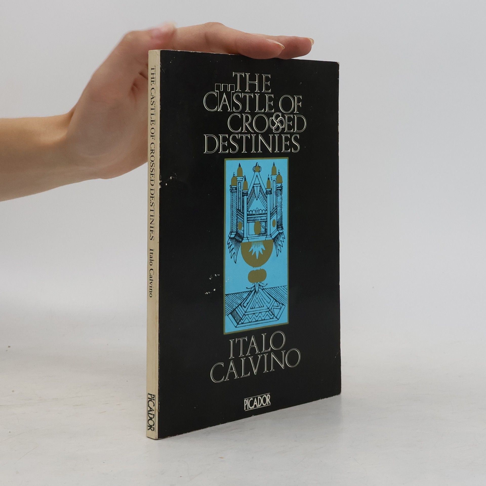 The Castle of Crossed Destinies