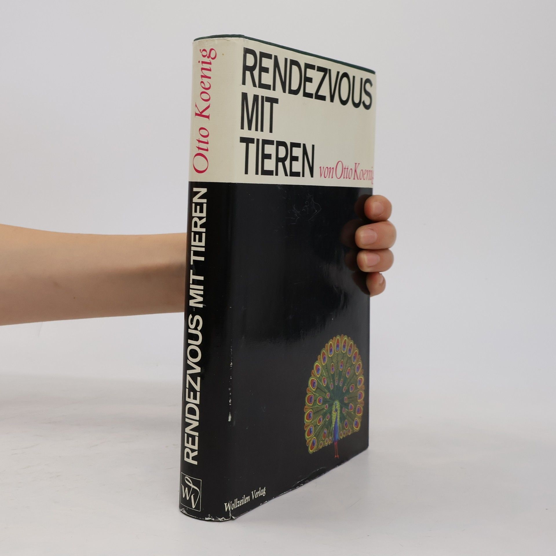 Rendezvous mit Tieren