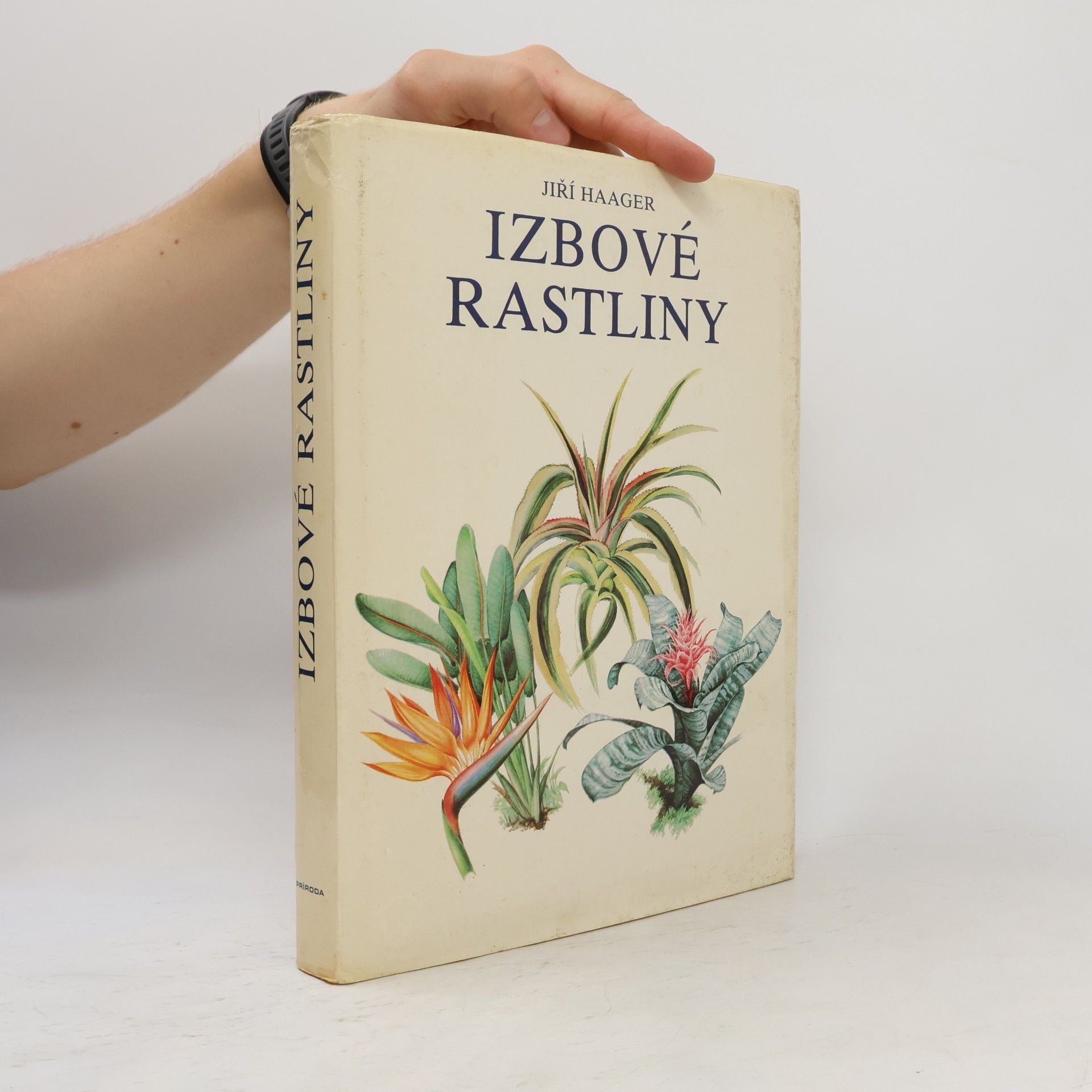 Jiří R. Haager Izbové rastliny