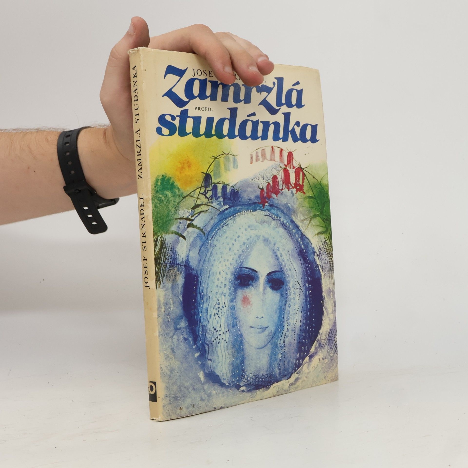 Josef Strnadel Zamrzlá studánka. Pohádky a pověsti zpod Radhoště