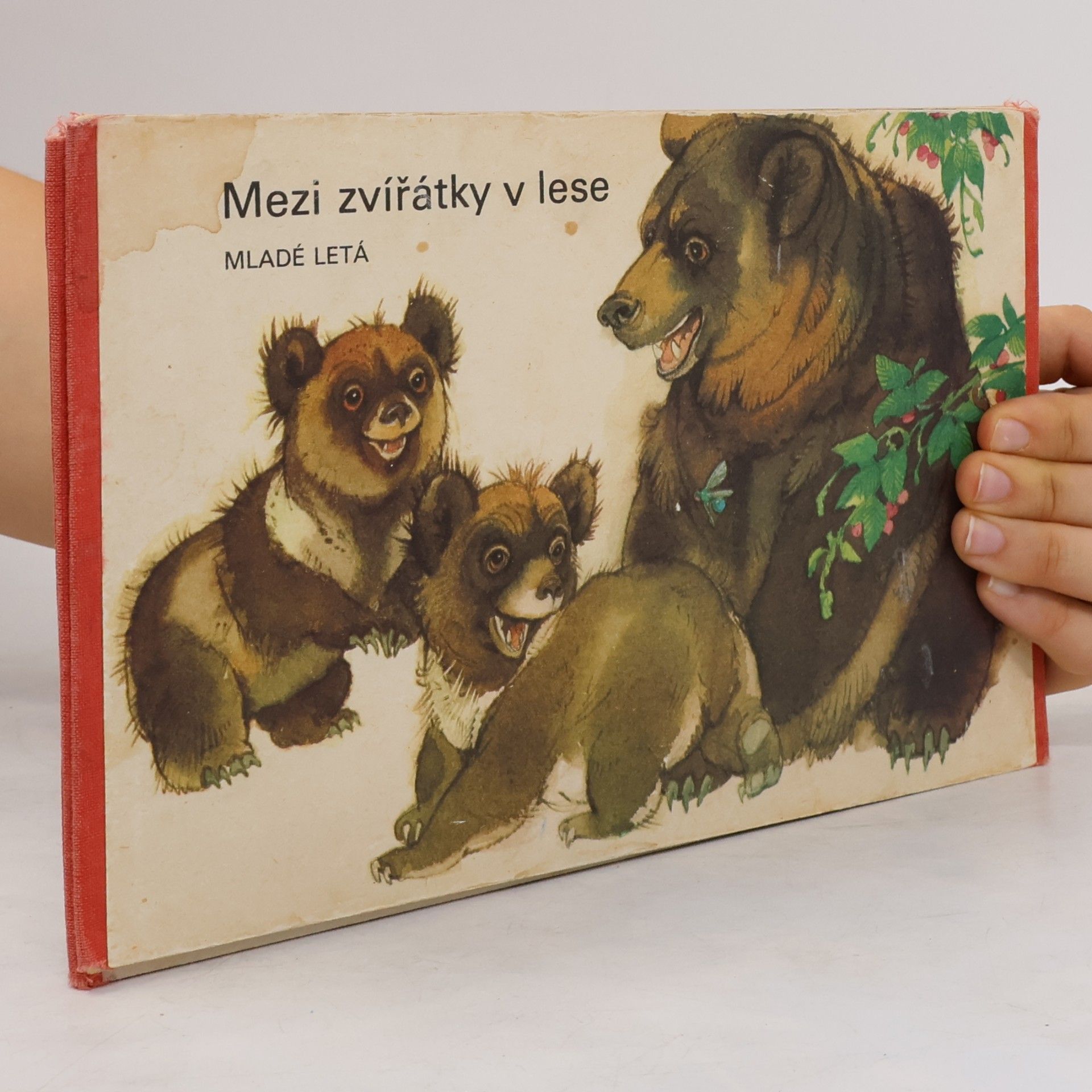 Vladimír Machaj Mezi zvířátky v lese