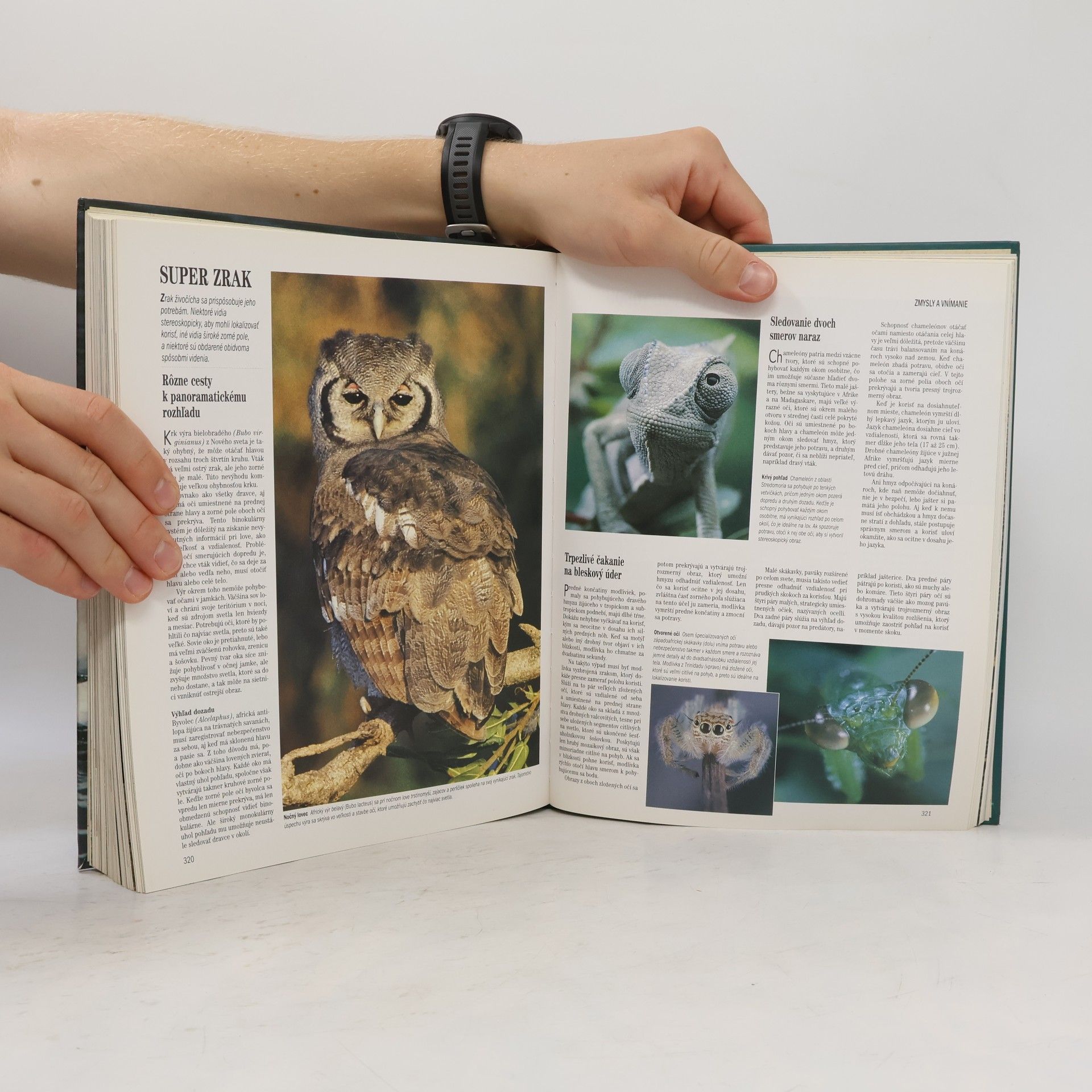 Collectif d'auteurs Súkromie živočíchov