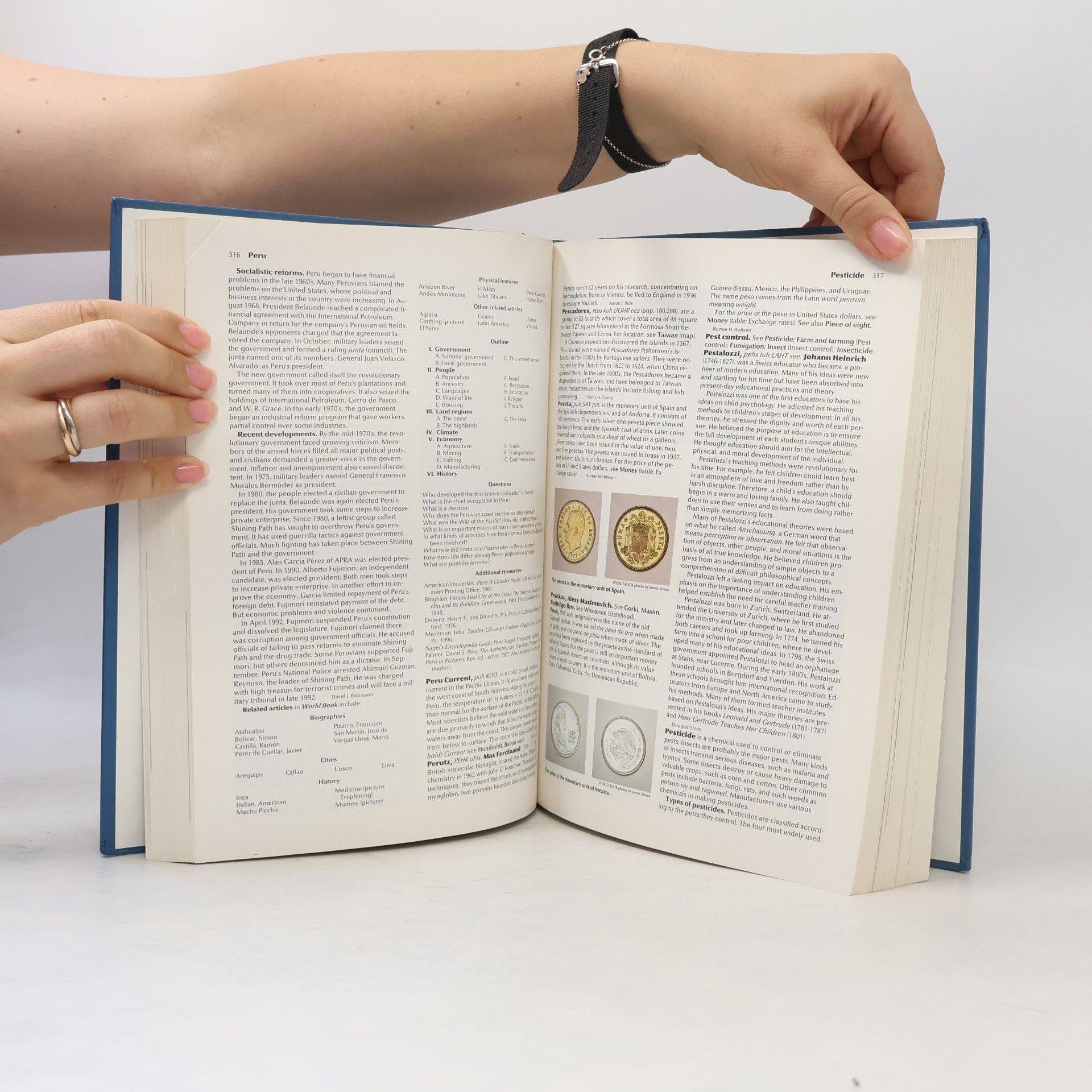Auteurscollectief The World Book Encyclopedia 15. P