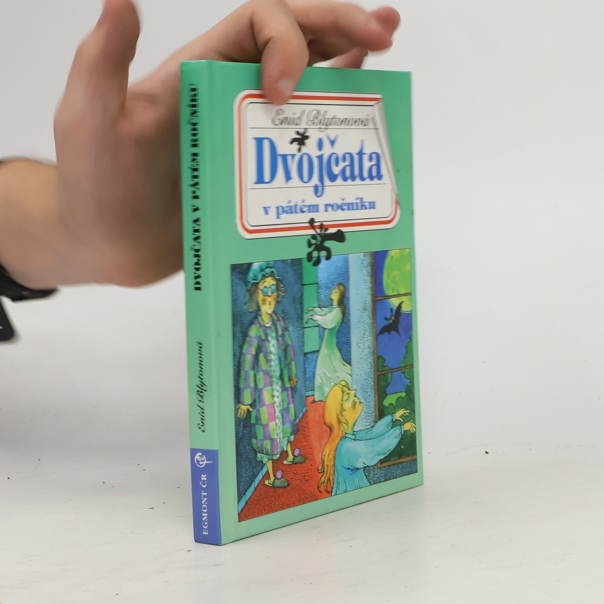 Enid Blyton Dvojčata v pátém ročníku
