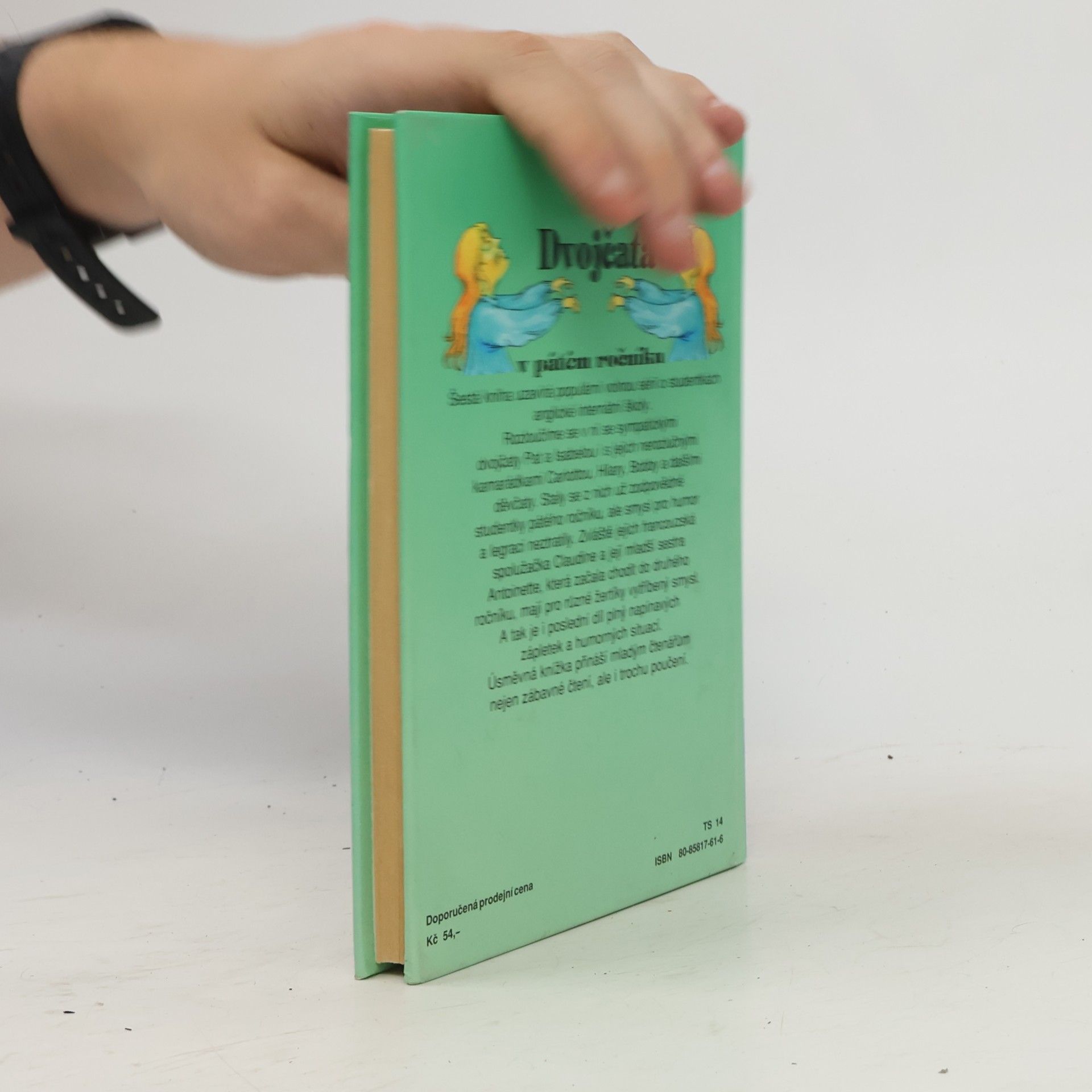 Enid Blyton Dvojčata v pátém ročníku