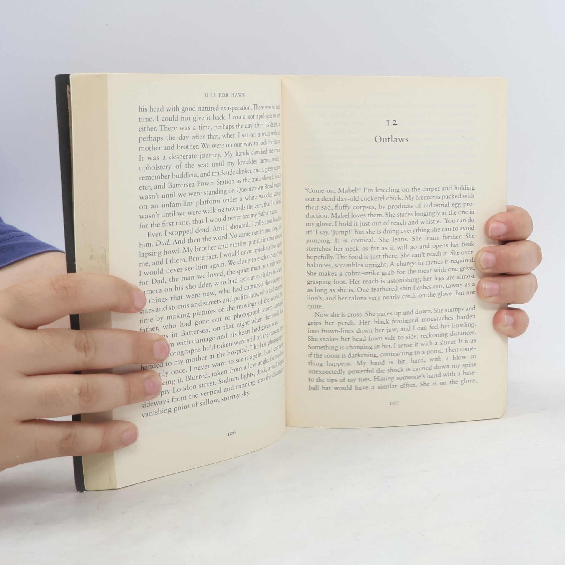 Helen Macdonald H is for Hawk