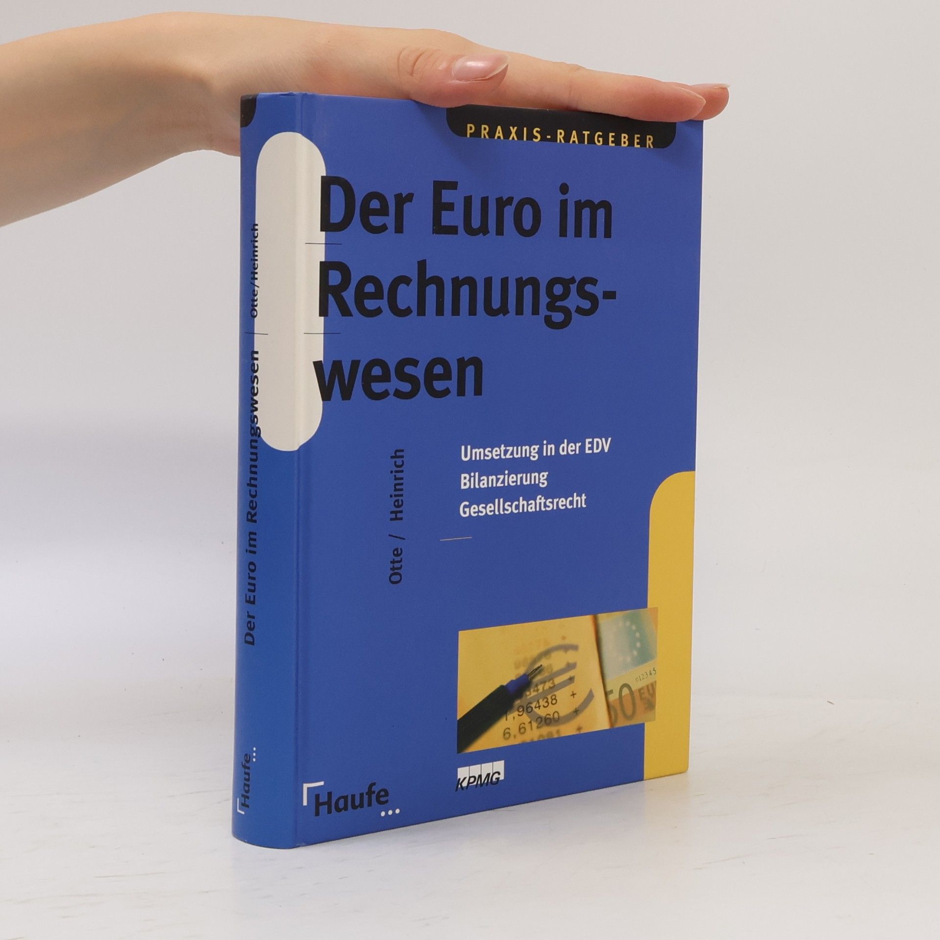 Wolfgang Otte Der Euro im Rechnungswesen