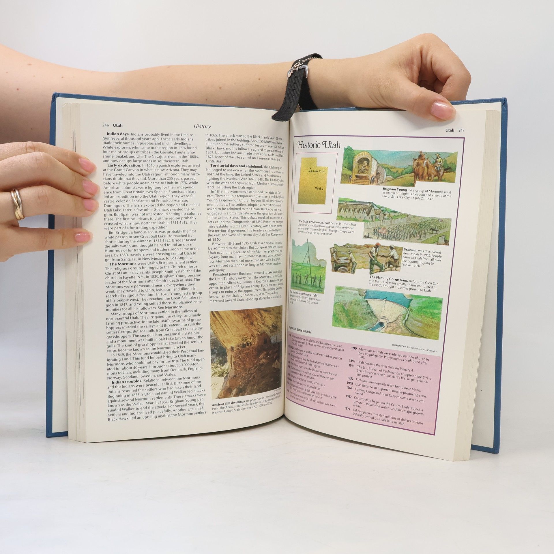 Auteurscollectief The World Book Encyclopedia Vol. 23