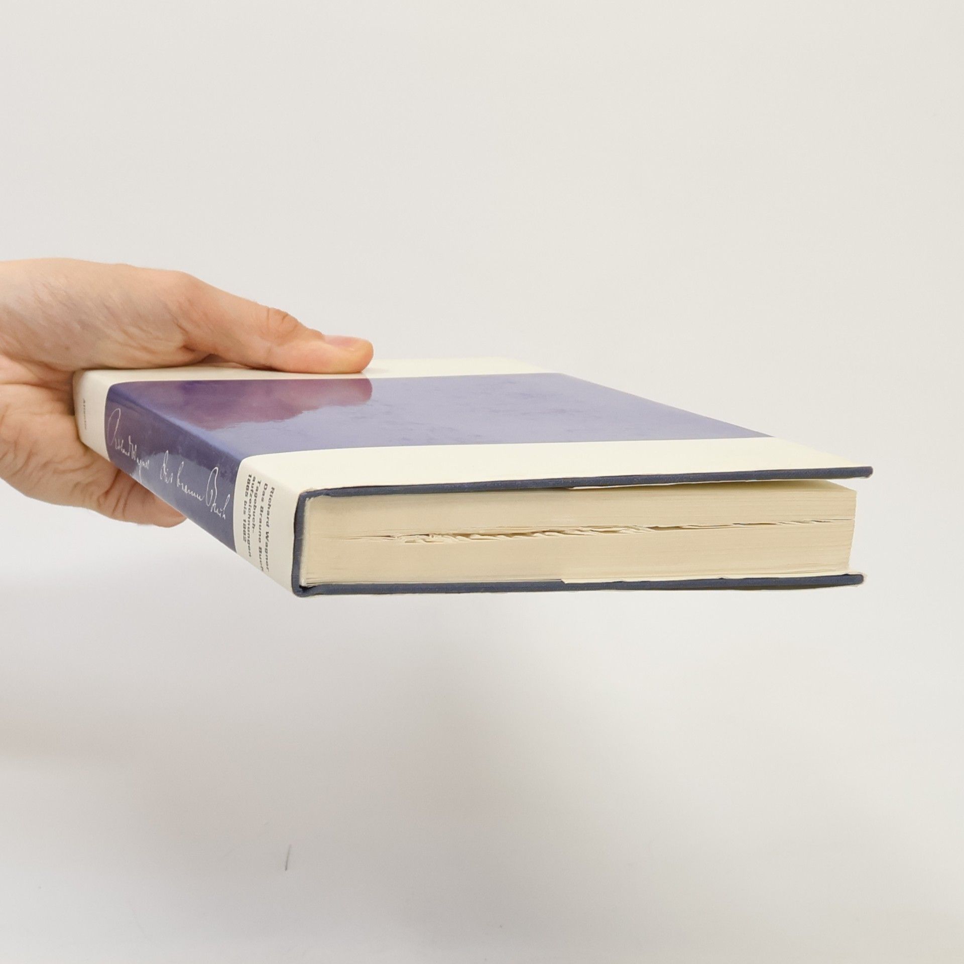 Richard Wagner Das braune Buch