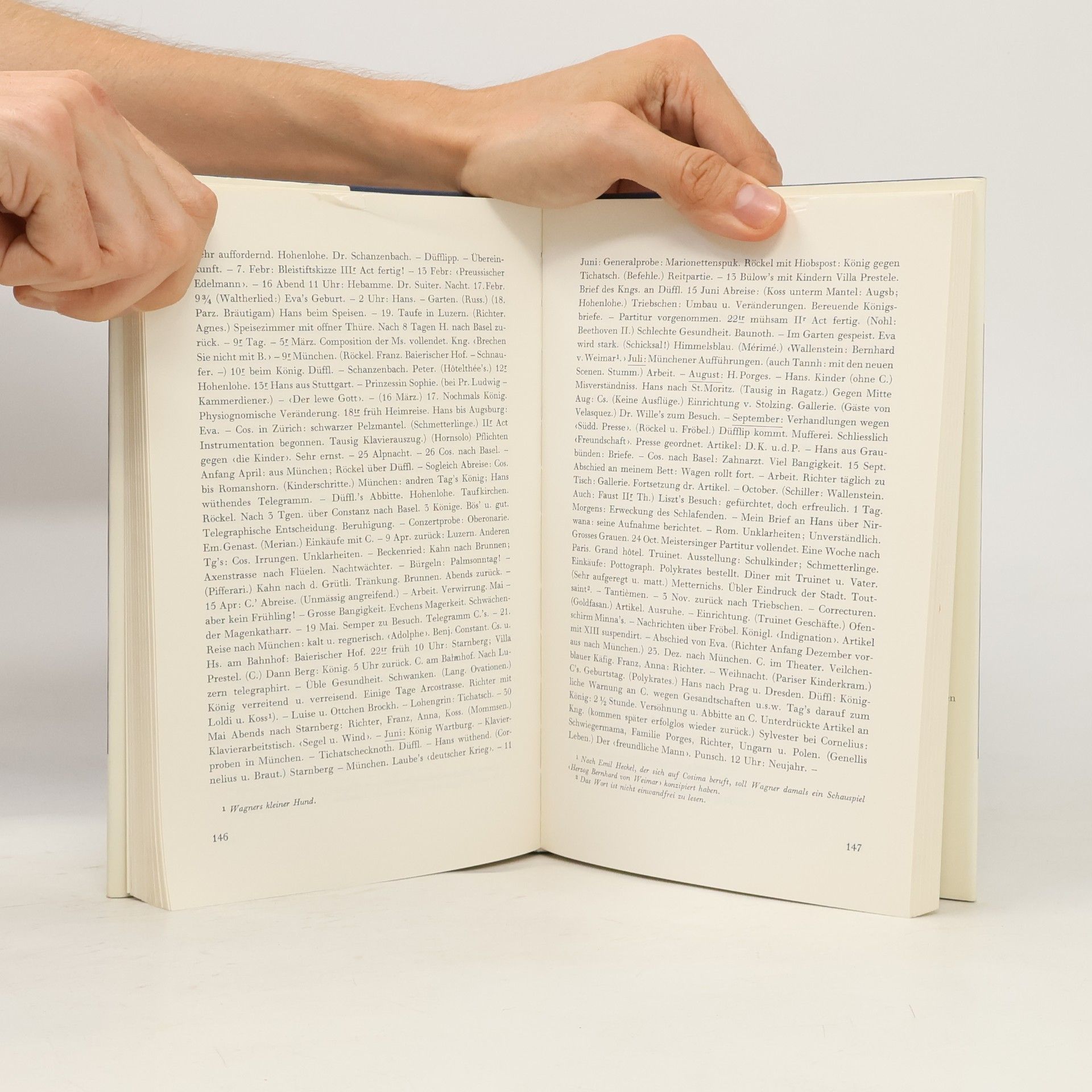 Richard Wagner Das braune Buch