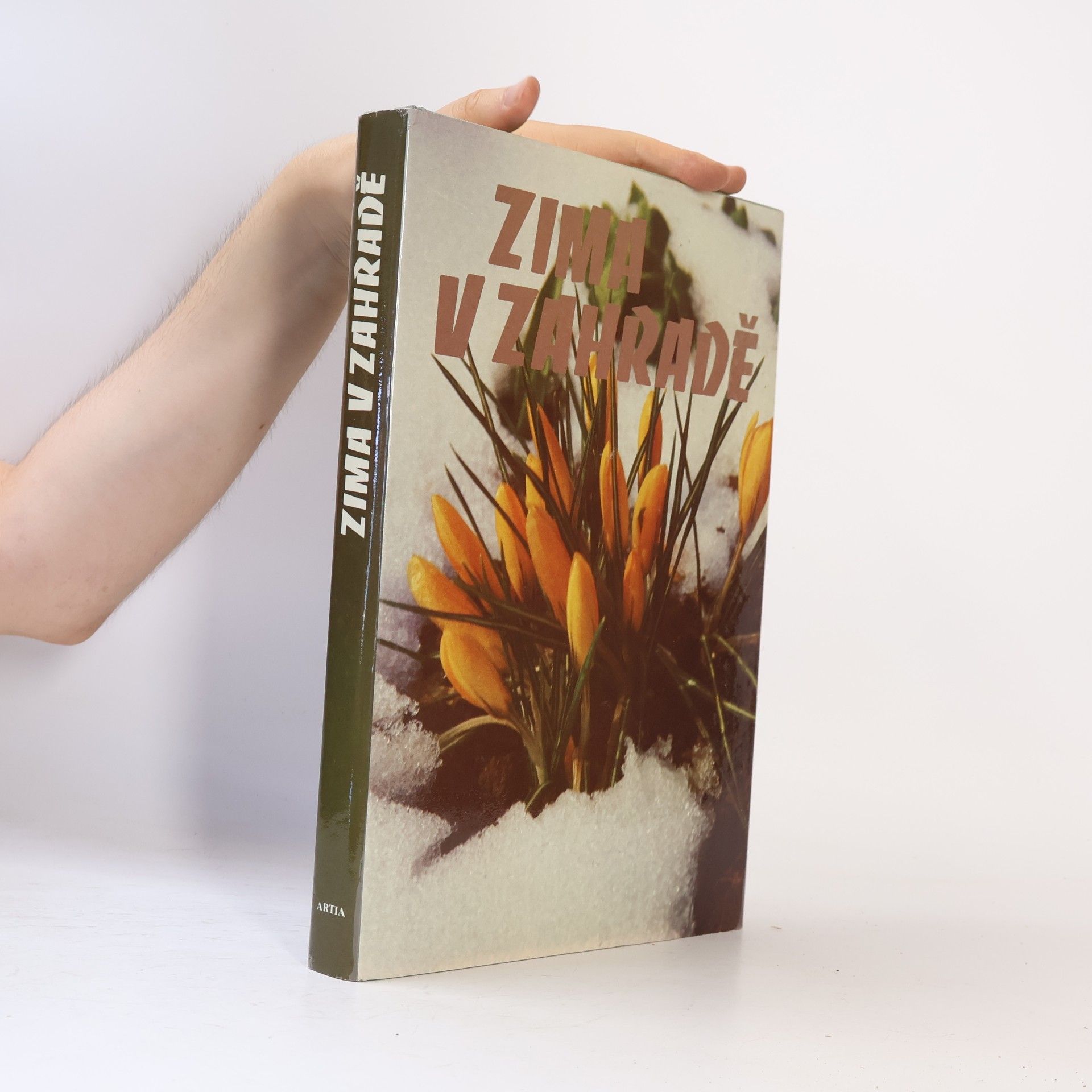 Kolektiv autorů Zima v zahradě