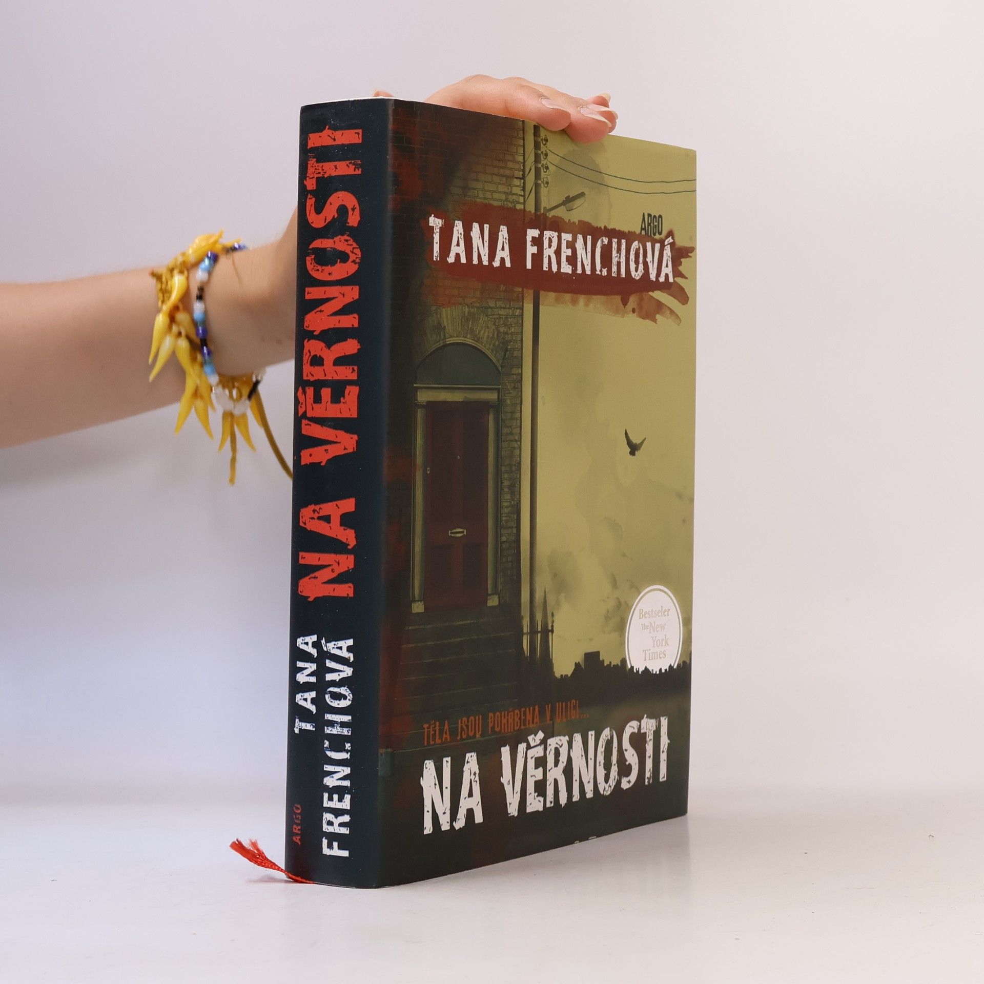 Tana French Na Věrnosti