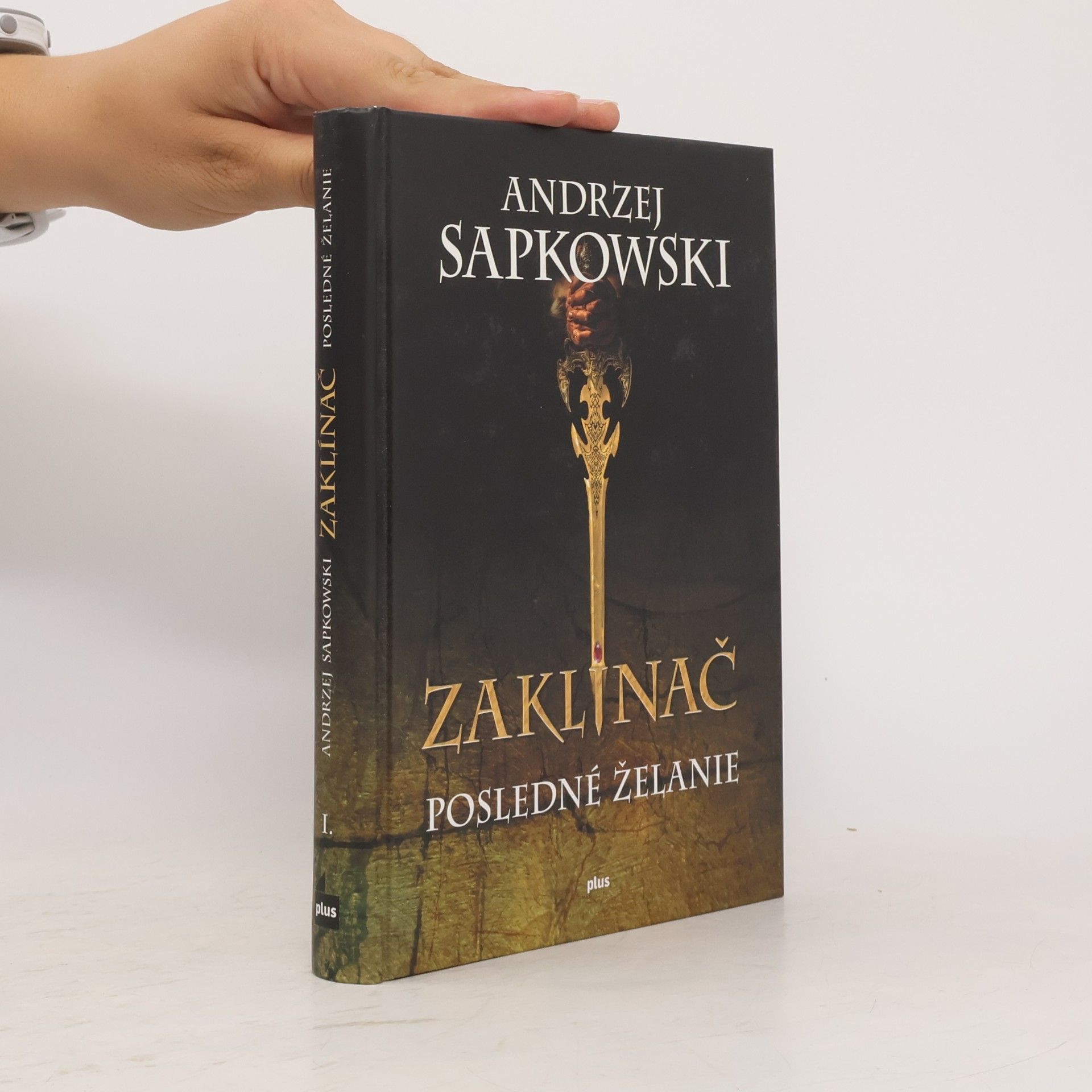 Andrzej Sapkowski Zaklínač. Posledné želanie