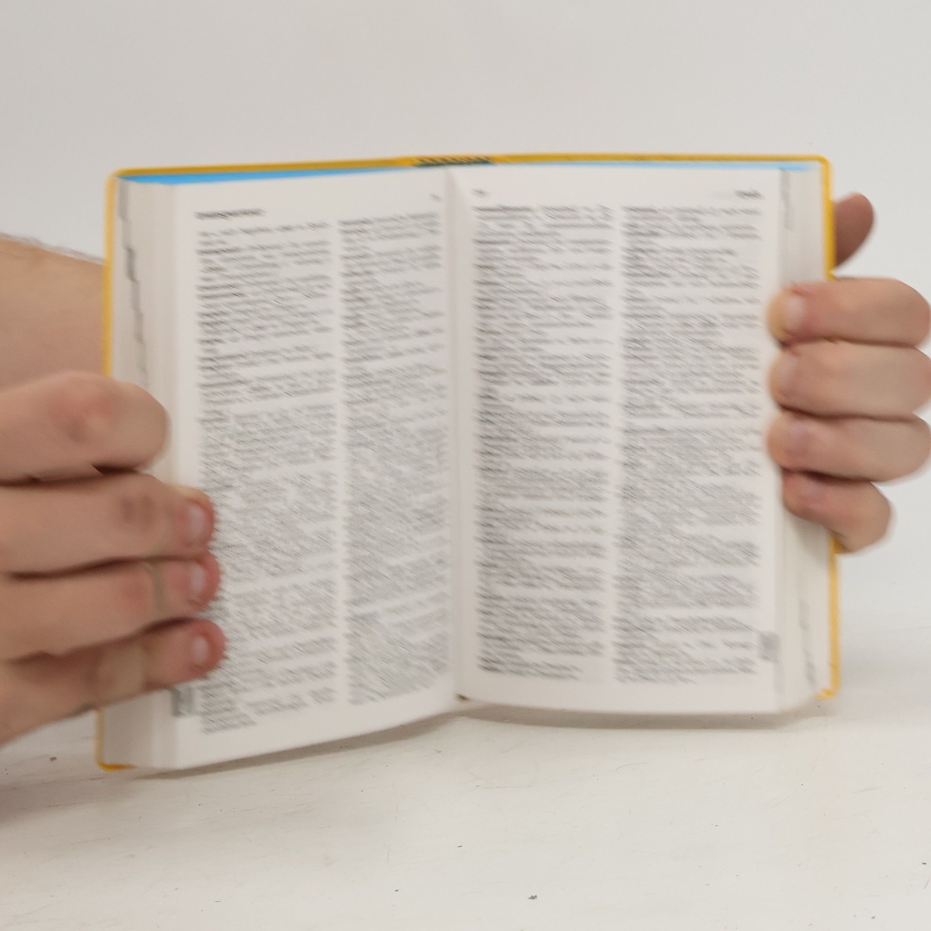 Wolfgang Löffler Langenscheidts Schulwörterbuch Französisch
