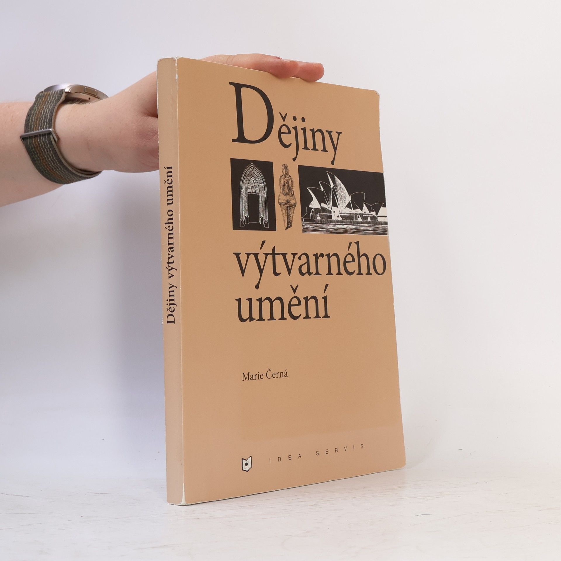 Marie Černá Dějiny výtvarného umění