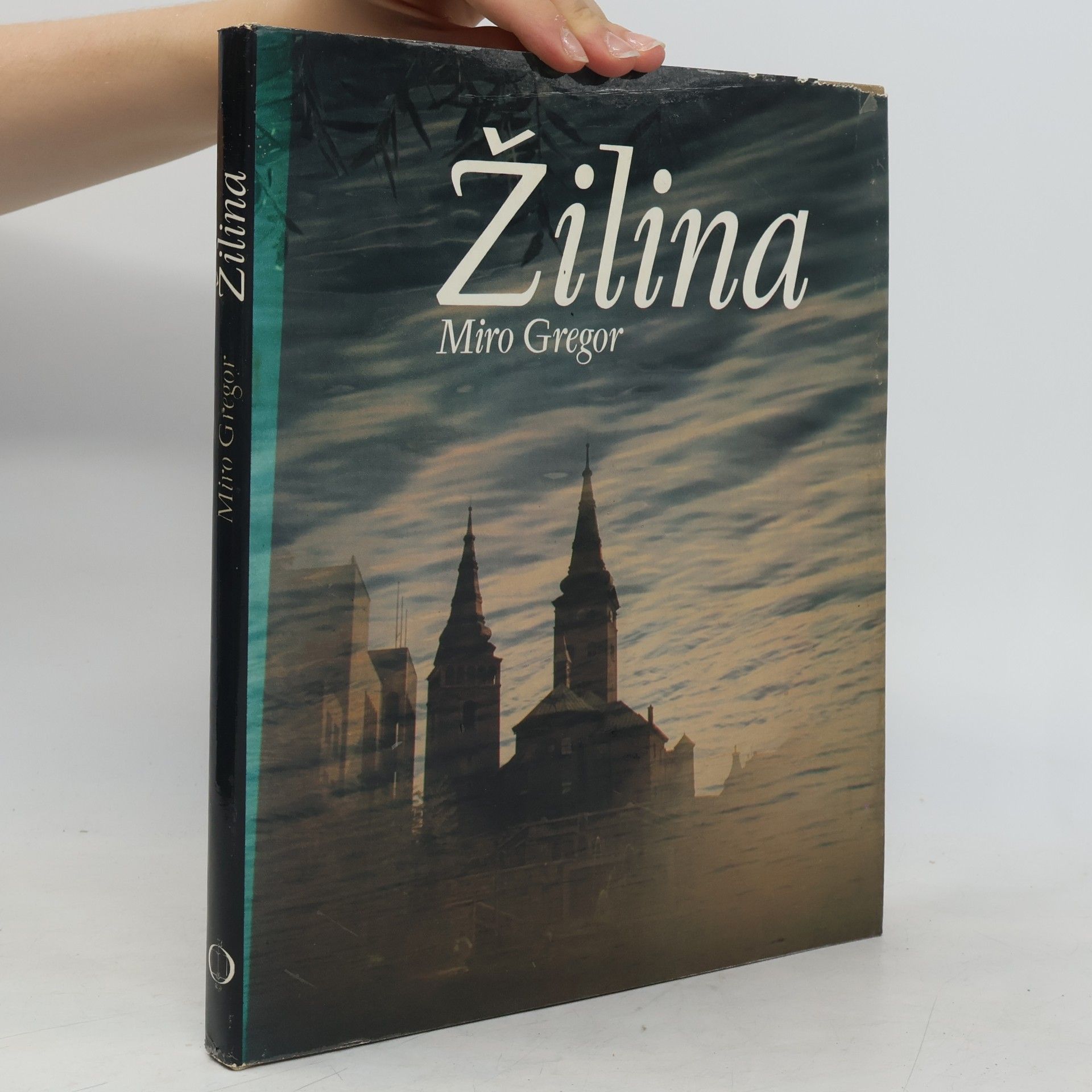 Miro Gregor Žilina