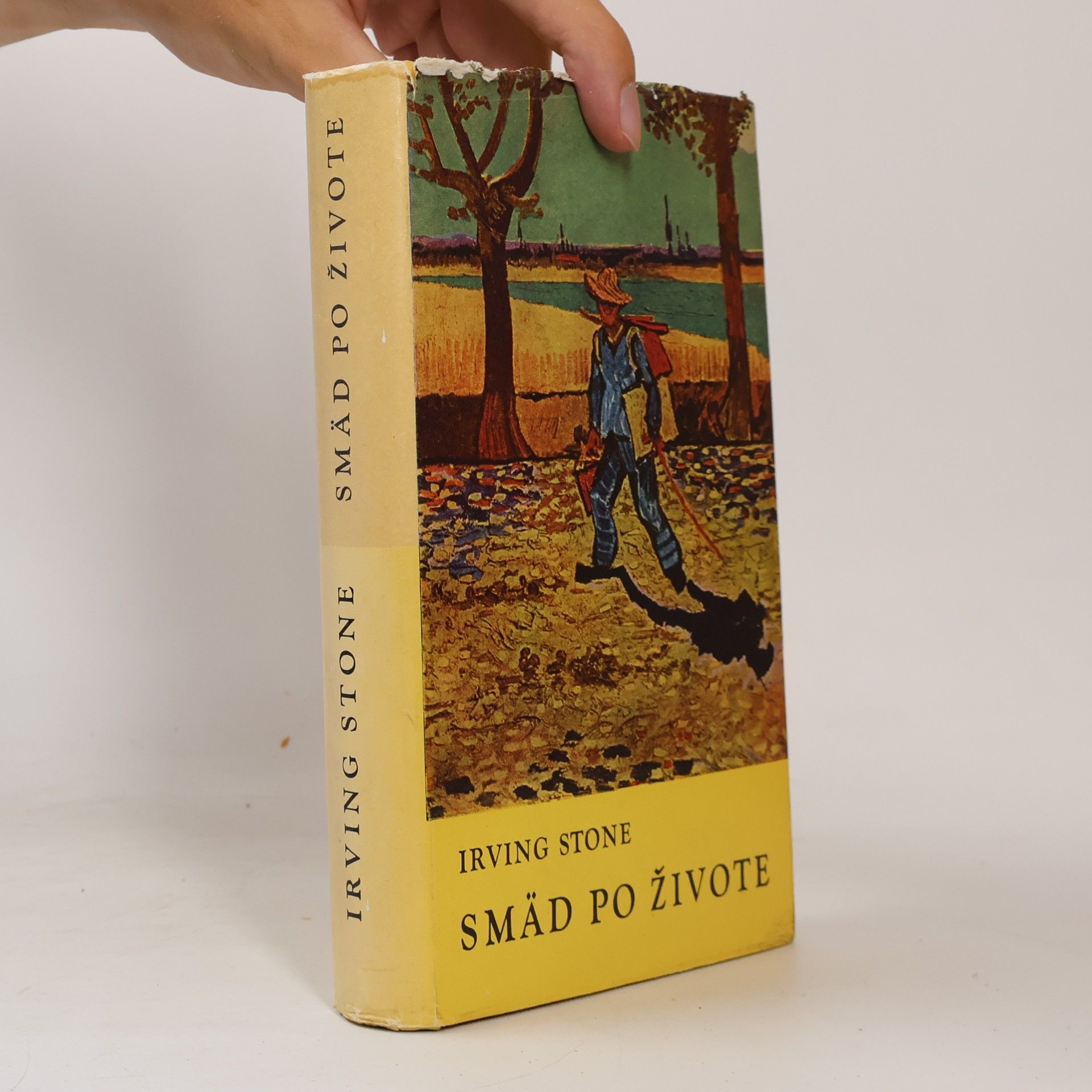 Irving Stone Smäd po živote