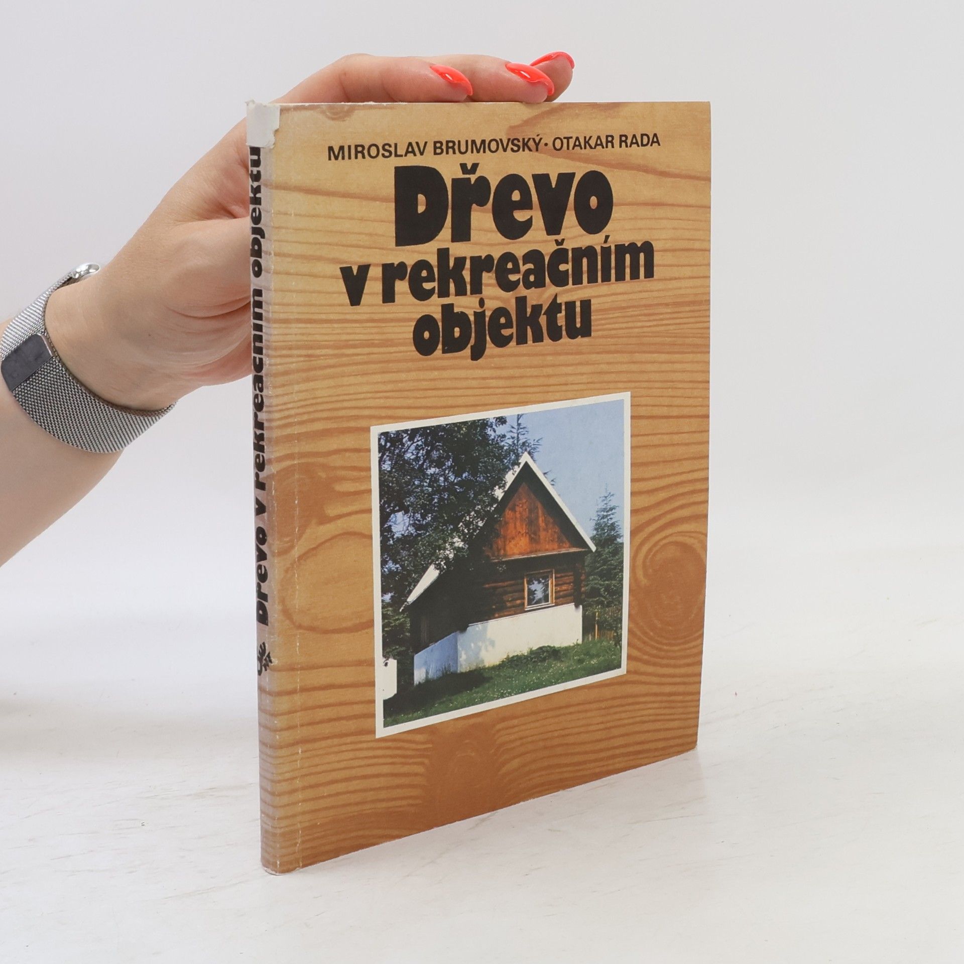 Miroslav Brumovský Dřevo v rekreačním objektu