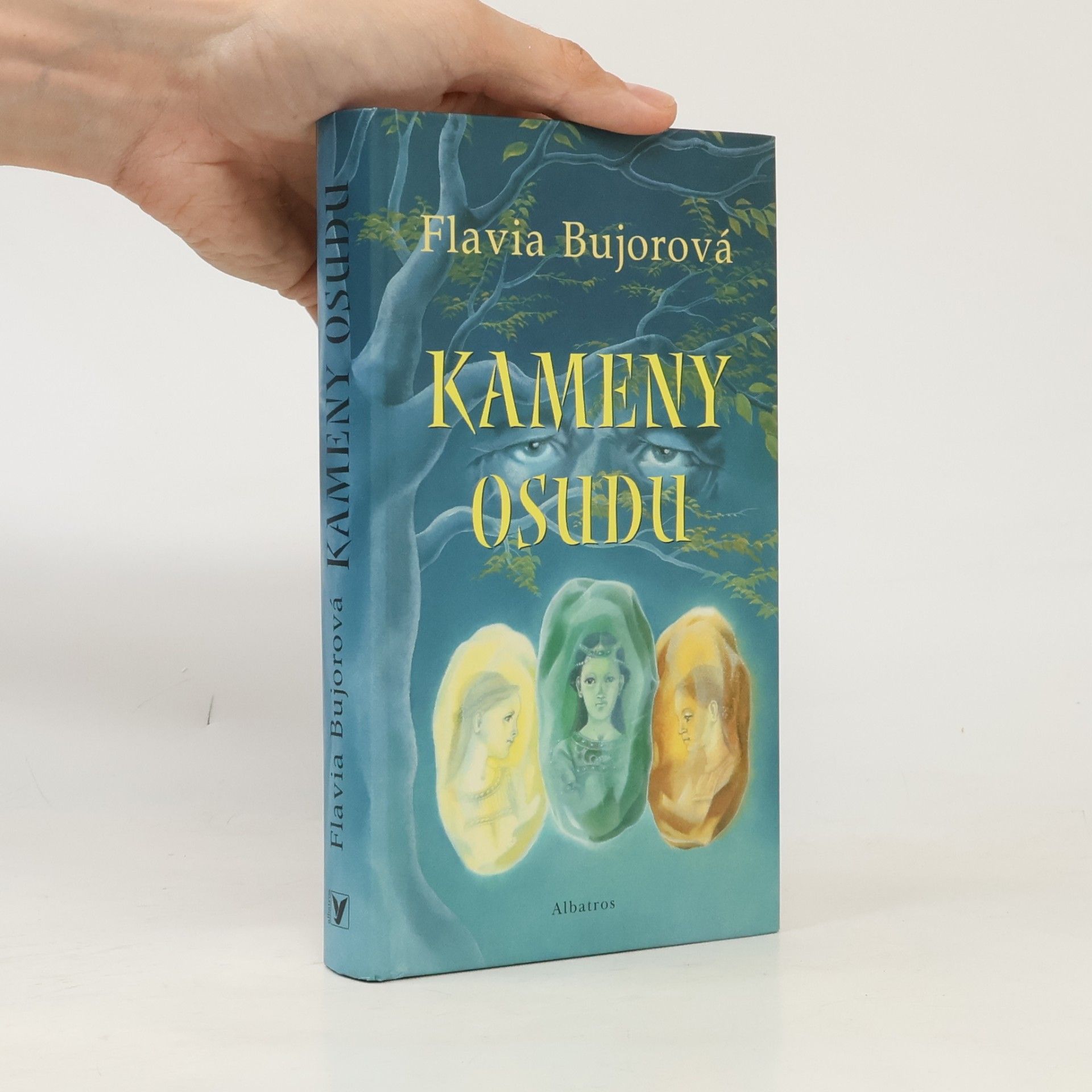 Flavia Bujor Kameny osudu