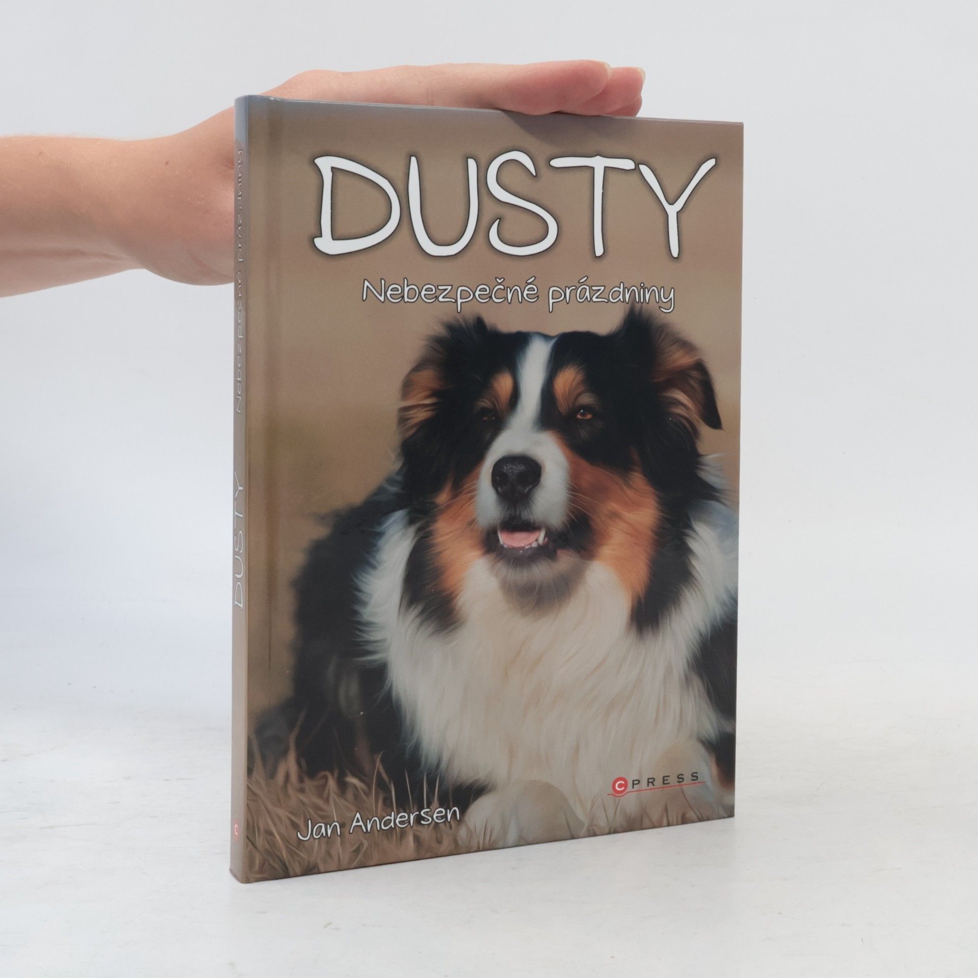 Wolfram Hänel Dusty: Nebezpečné prázdniny