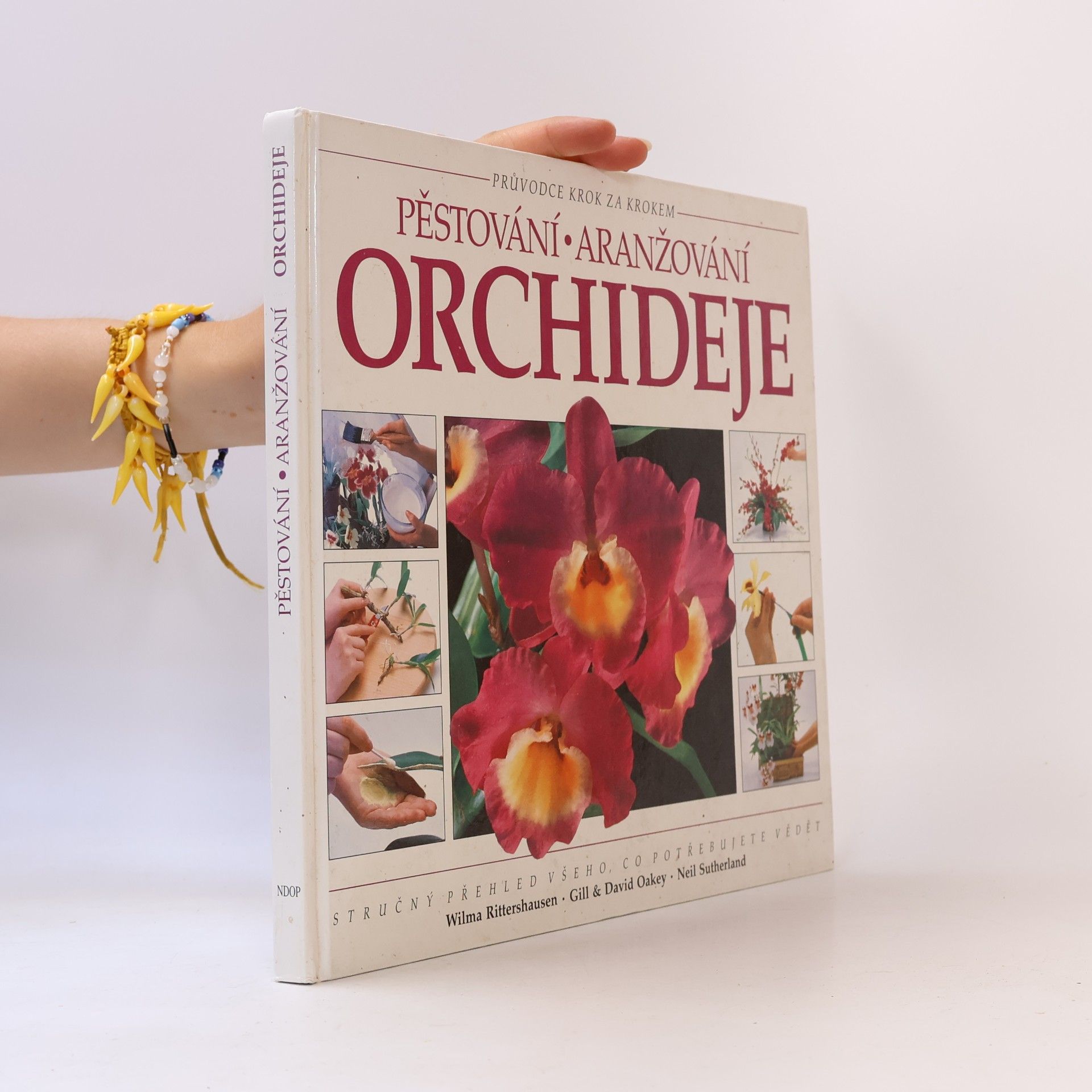 AA.VV. Pěstování aranžování: Orchideje