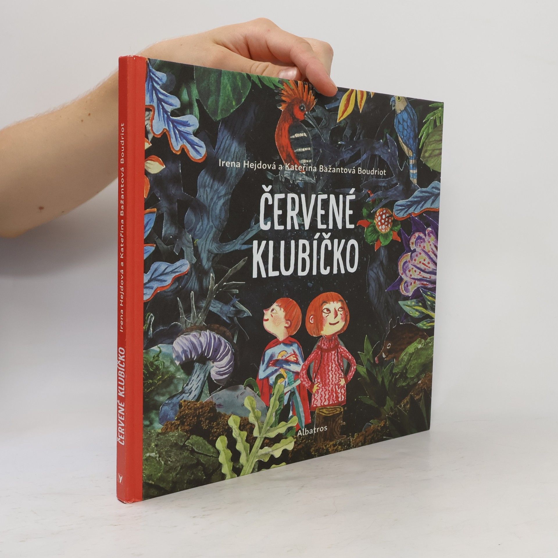 Irena Hejdová Červené klubíčko