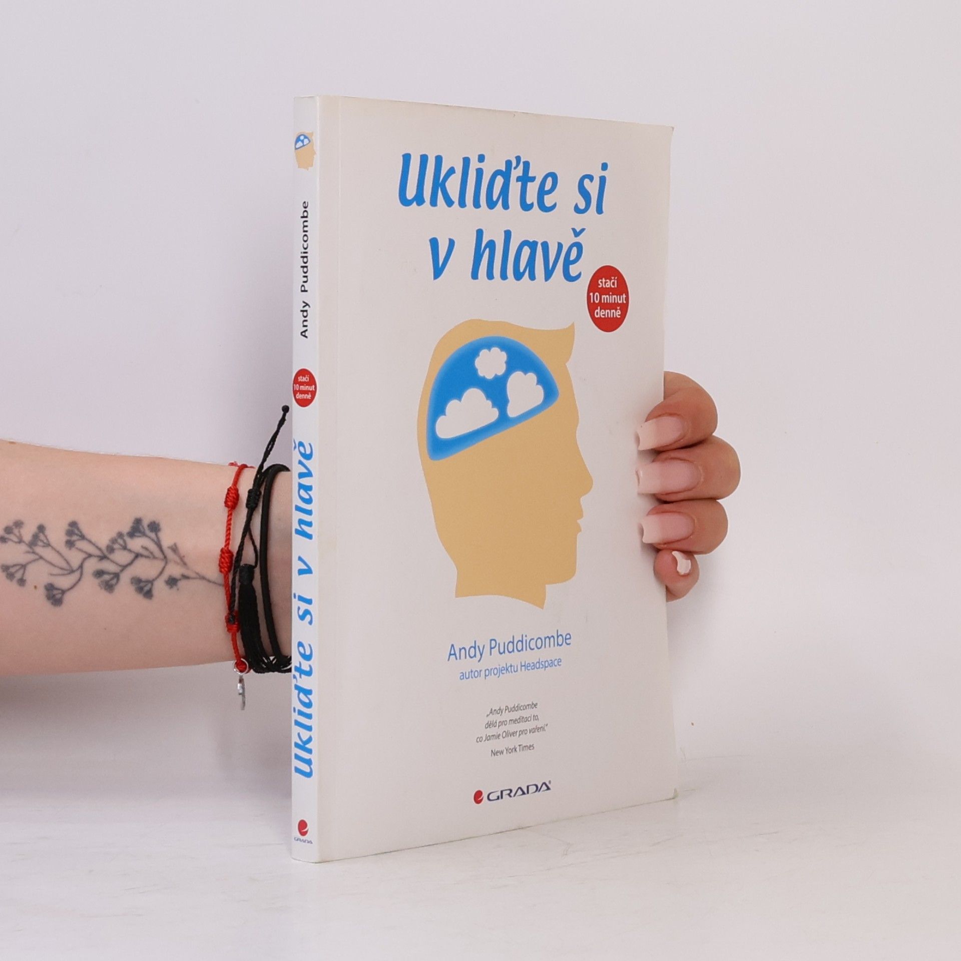 Andy Puddicombe Ukliďte si v hlavě : stačí 10 minut denně
