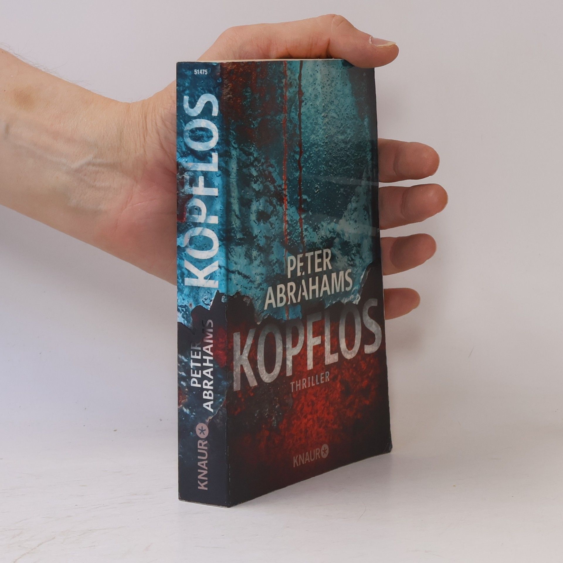 Peter Abrahams Kopflos