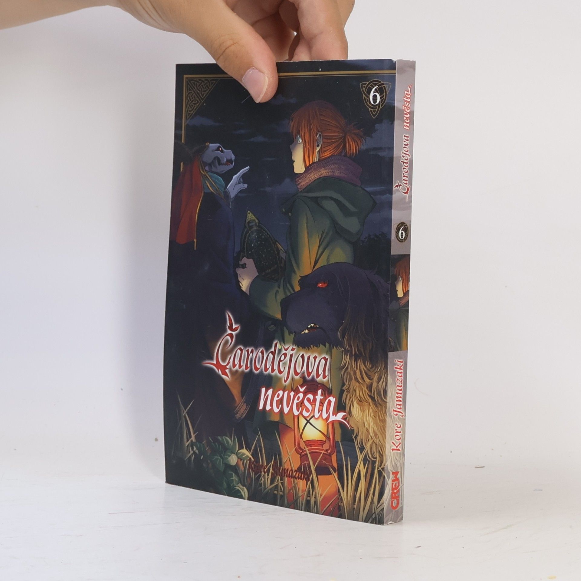 Kore Jamazaki Čarodějova nevěsta 6