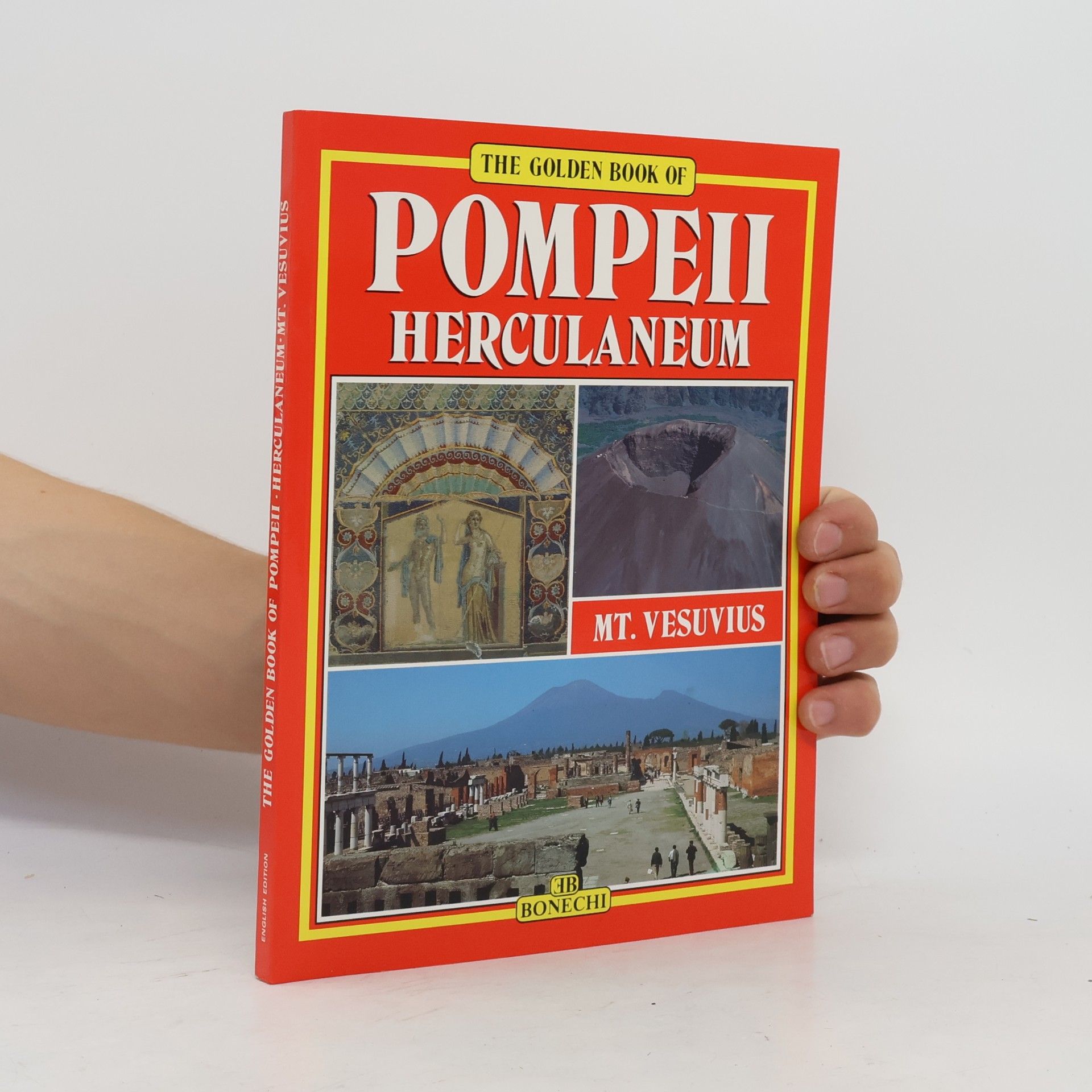 Stefano Giuntoli Pompeii, Herculaneum, Mt. Vesuvius