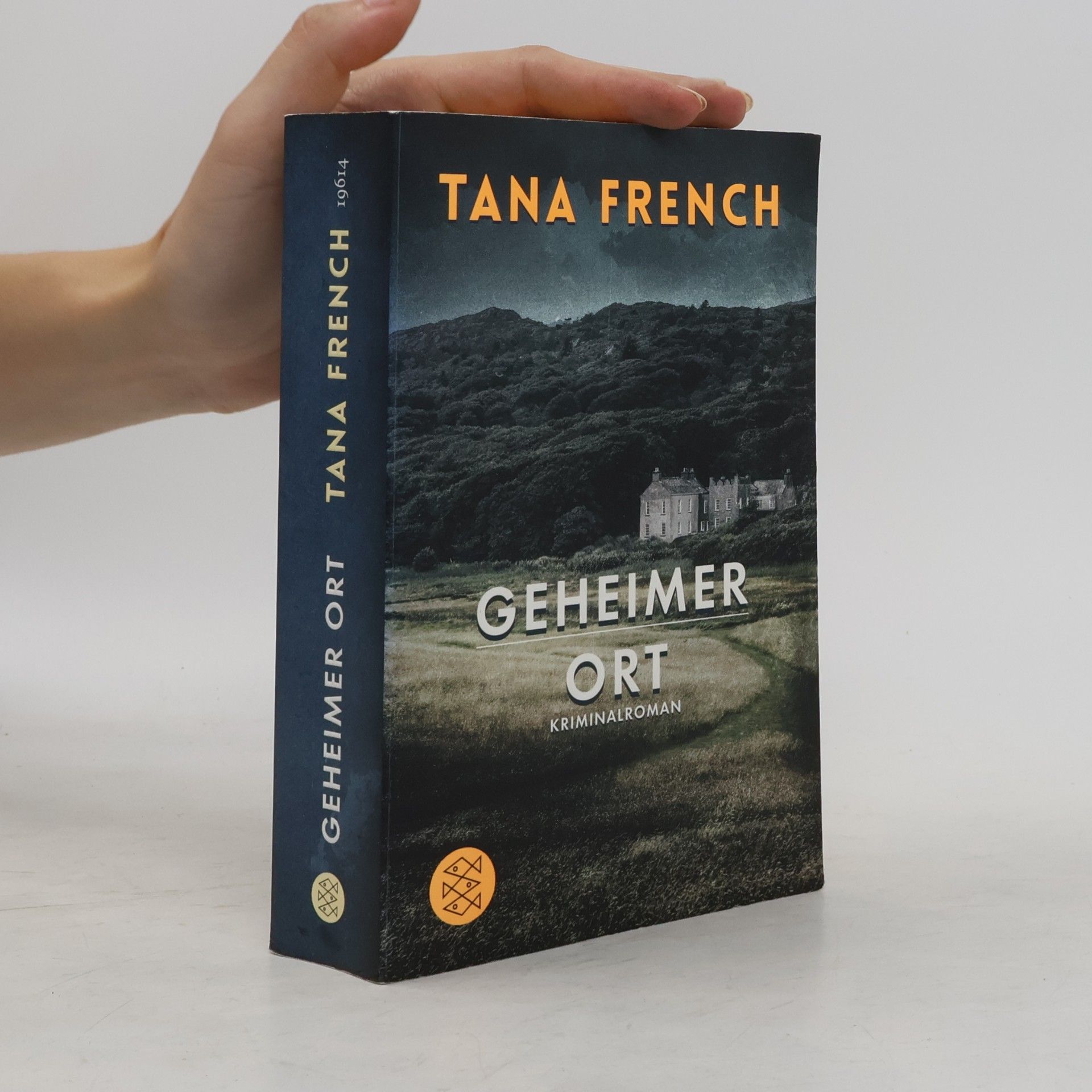 Tana French Geheimer Ort