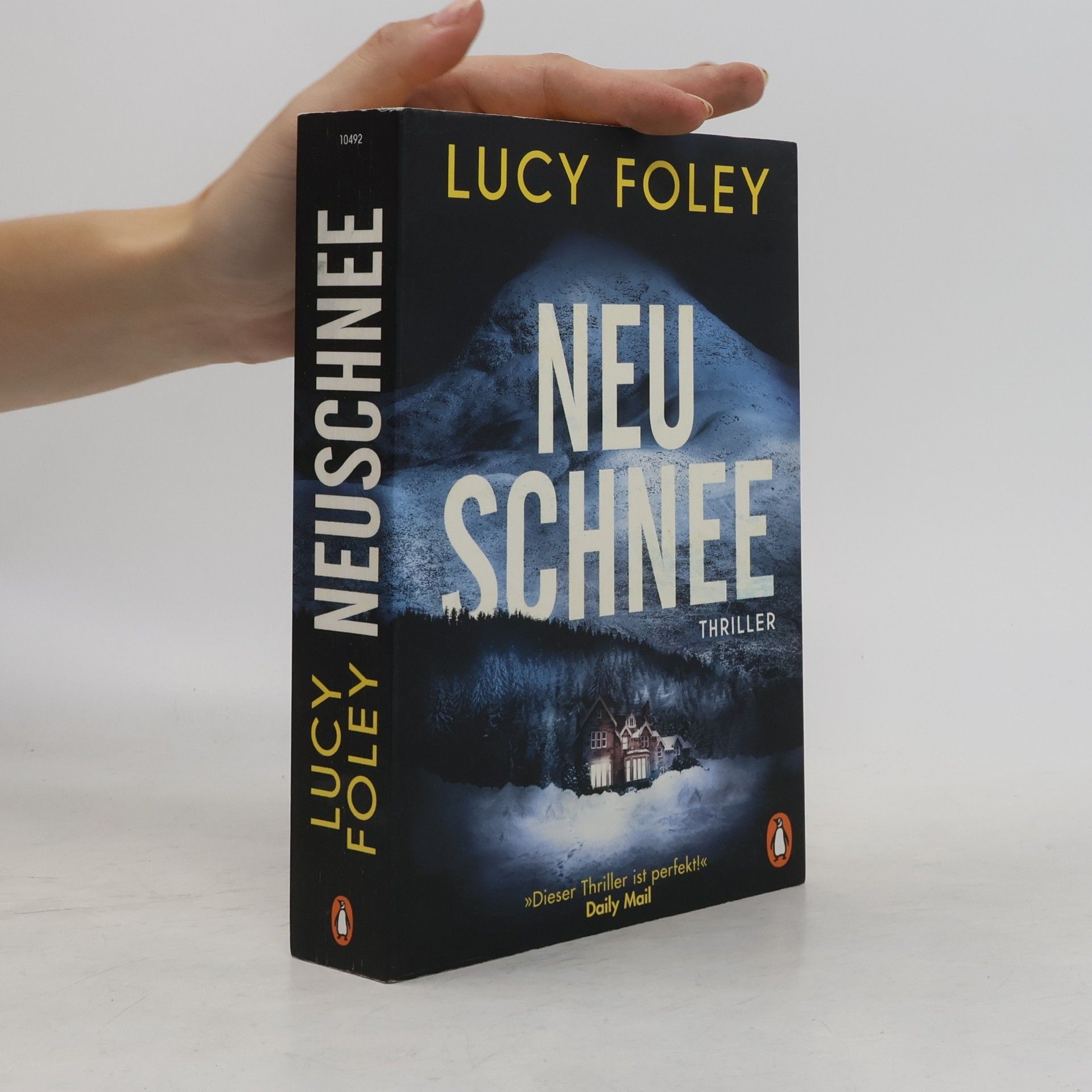 Lucy Foley Neuschnee