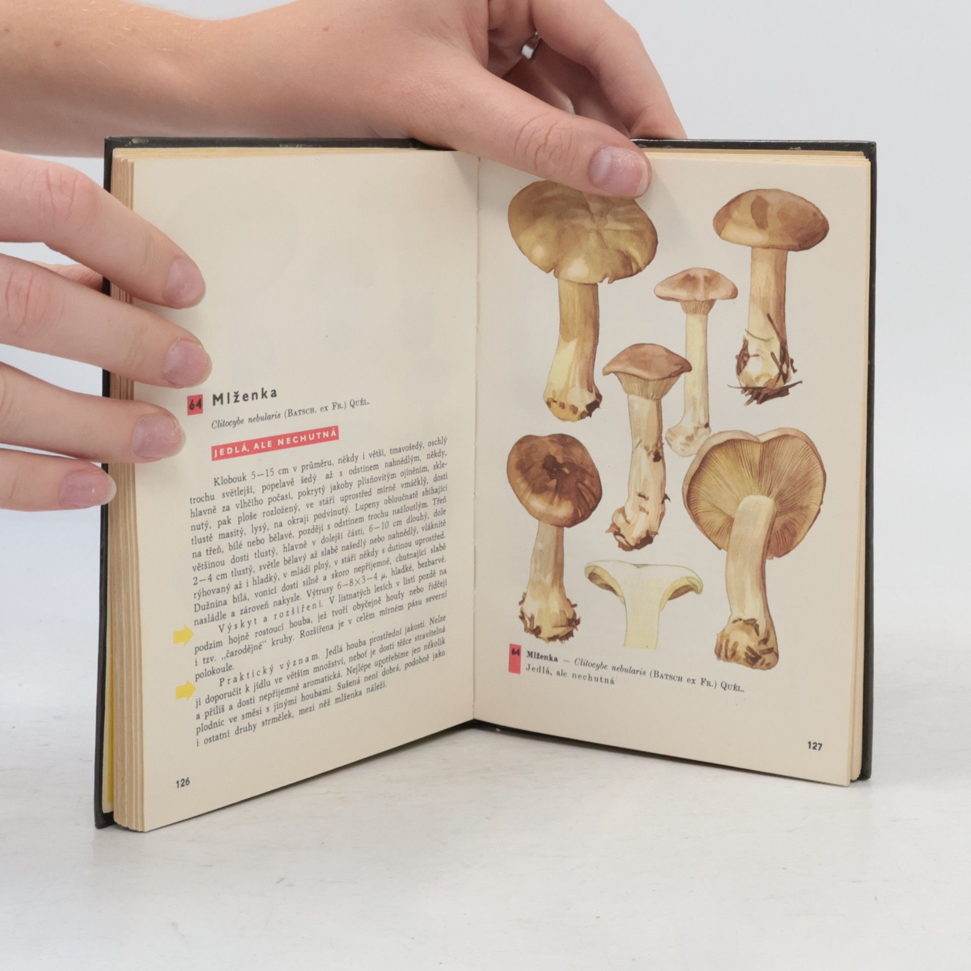 Otto Ušák Kapesní atlas hub