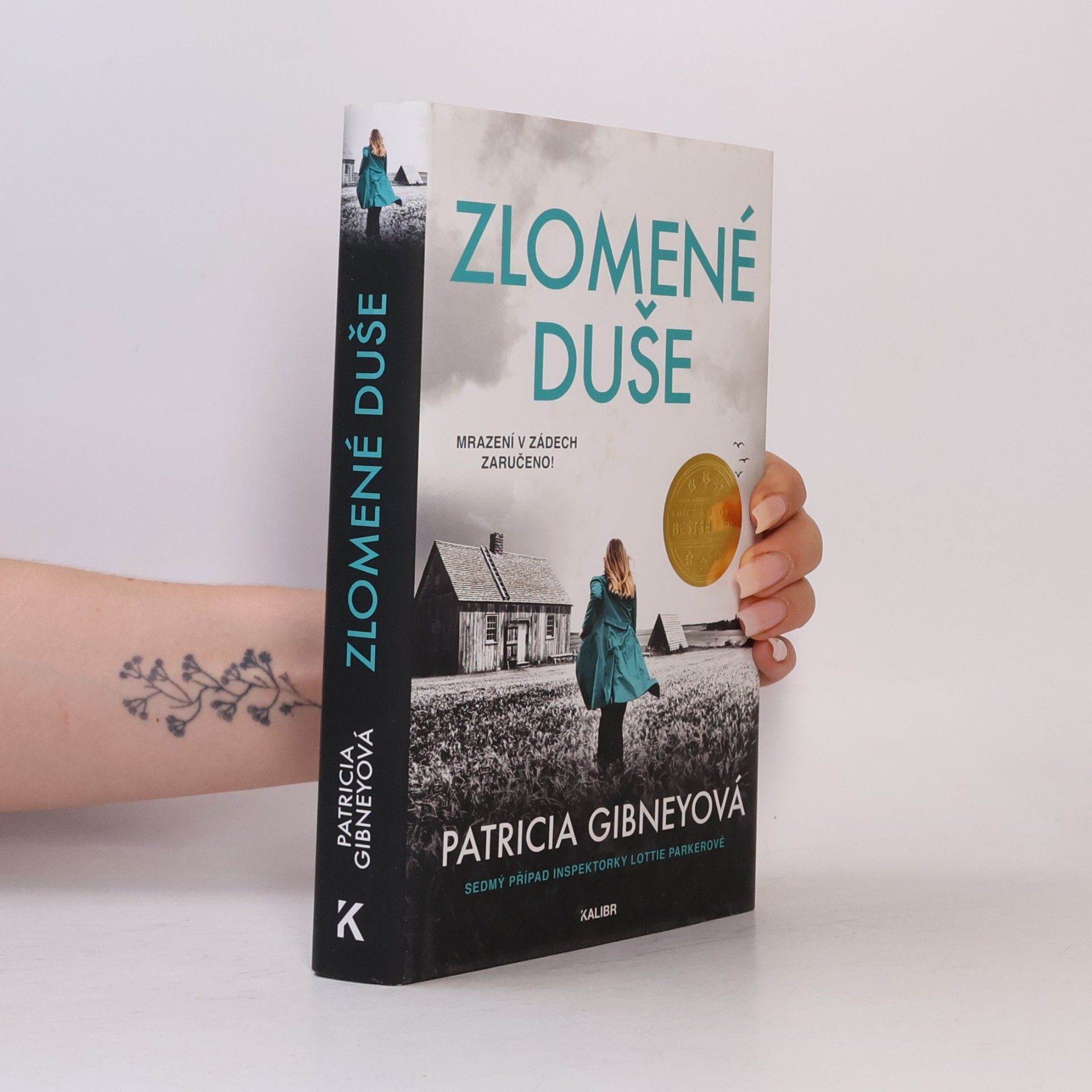 Patricia Gibney Zlomené Duše