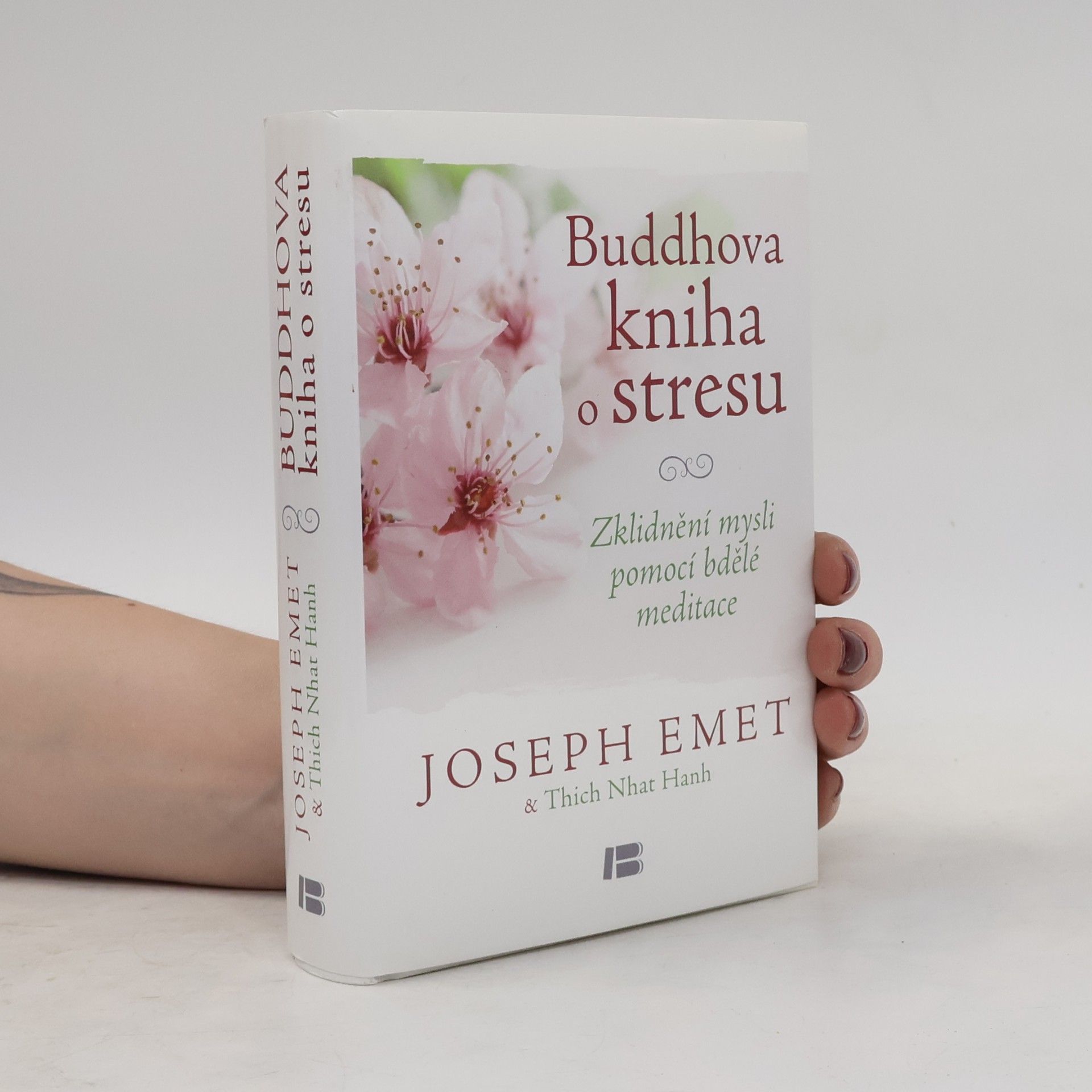 Thích Nhất Hạnh Buddhova kniha o stresu: Zklidnění mysli pomocí bdělé meditace