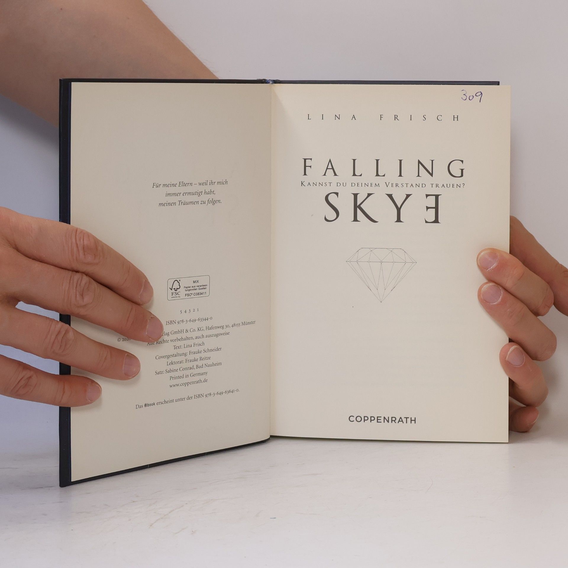 Lina Frisch Falling Skye: Kannst du deinem Verstand traunen?